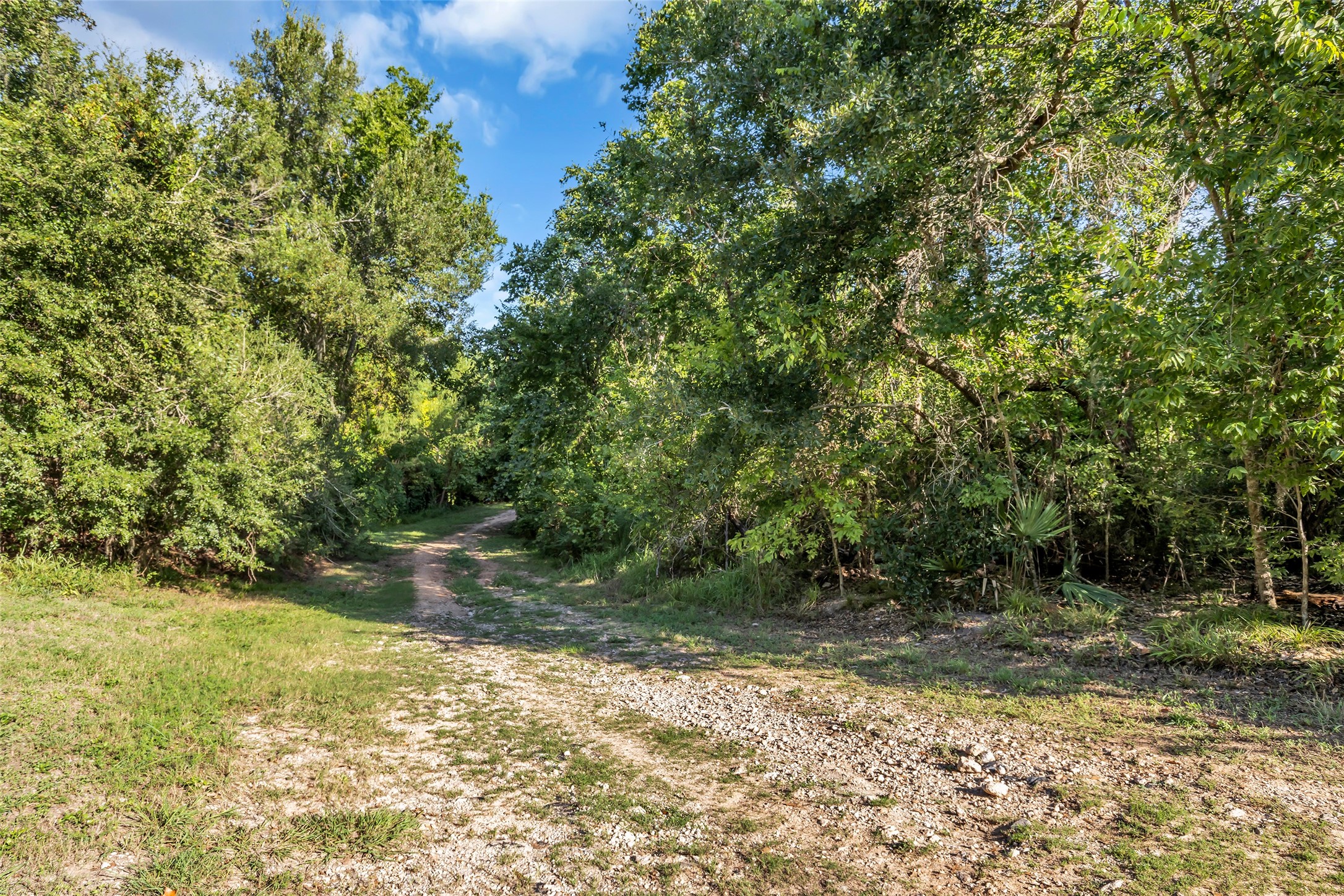 12833 Kingsbridge Lane Property Photo 35