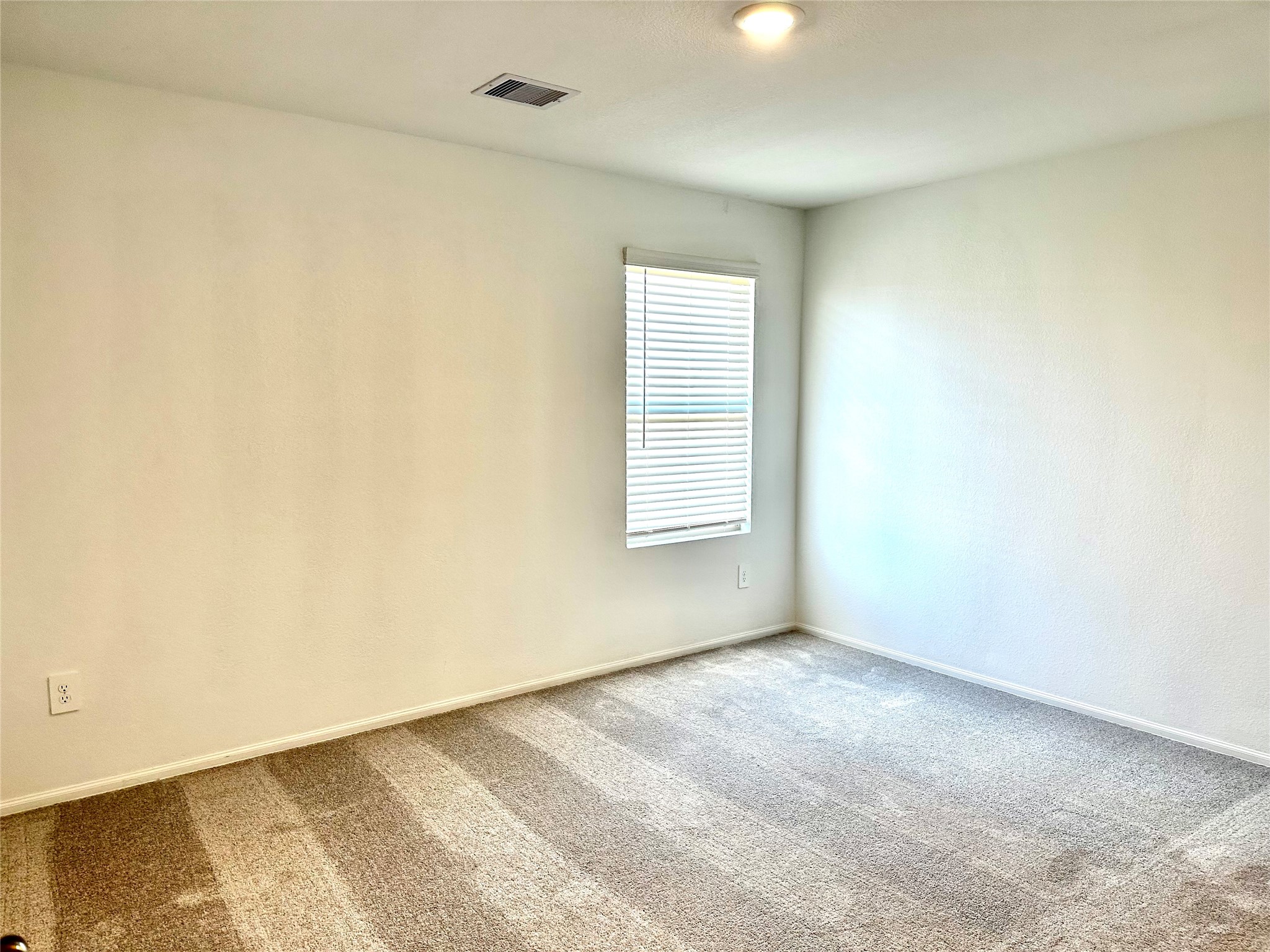 325 Birch Blossom Path Property Photo 9