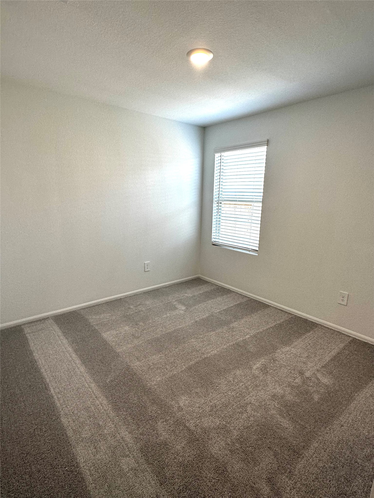 325 Birch Blossom Path Property Photo 15