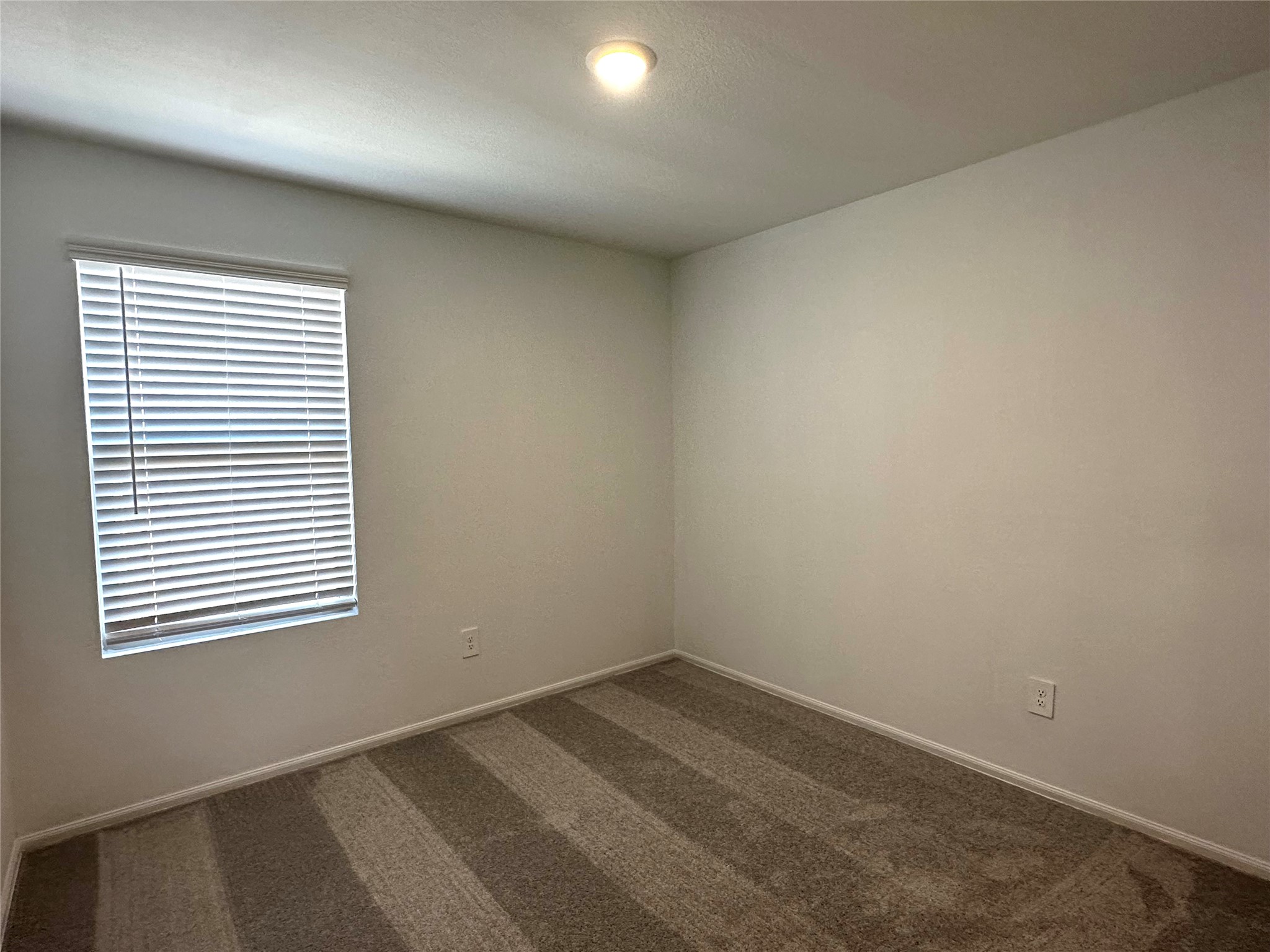 325 Birch Blossom Path Property Photo 16