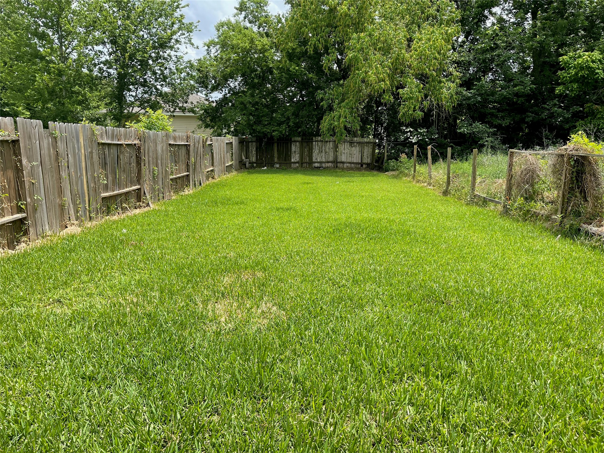 4346 Maggie Street Property Photo 5