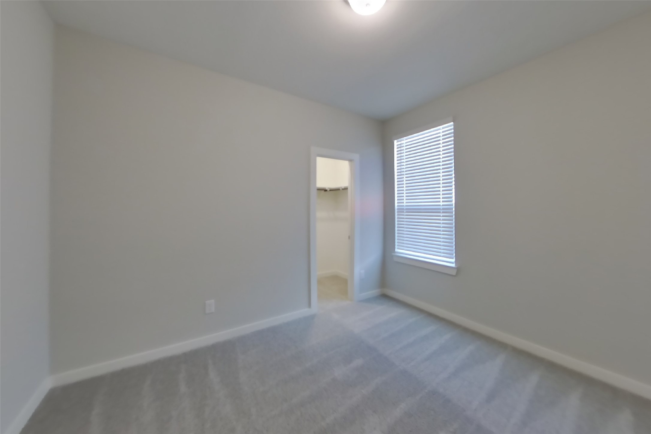2414 Cohorn Trail Property Photo 11