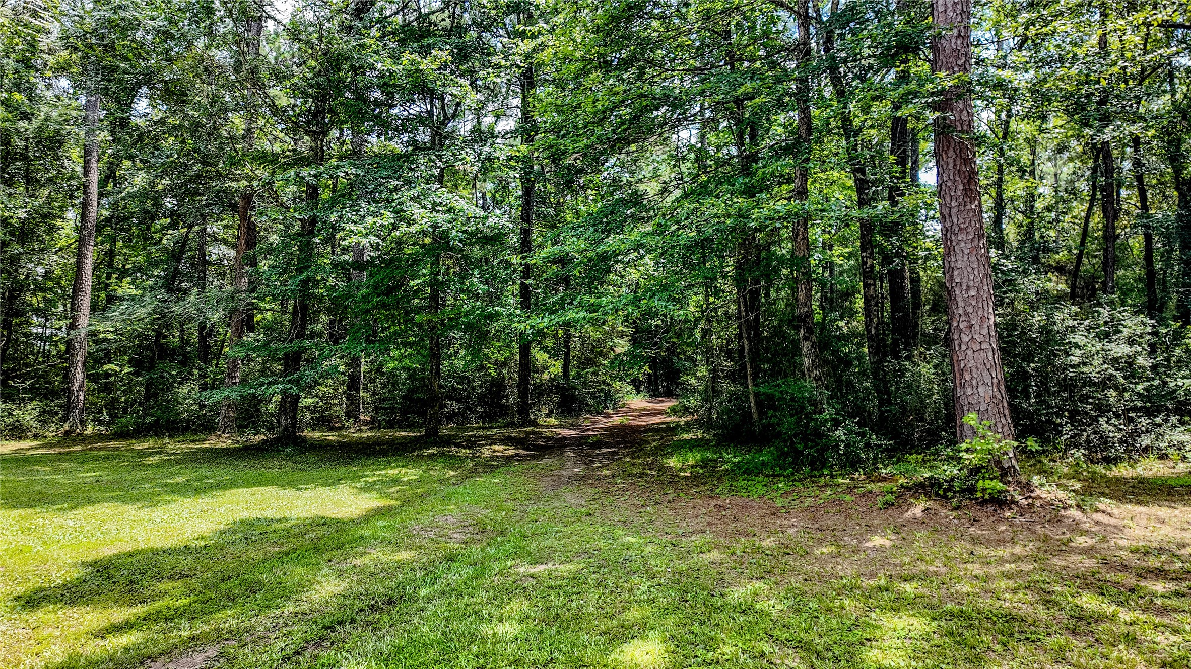 127 Buckthorn Acres Drive Property Photo 34