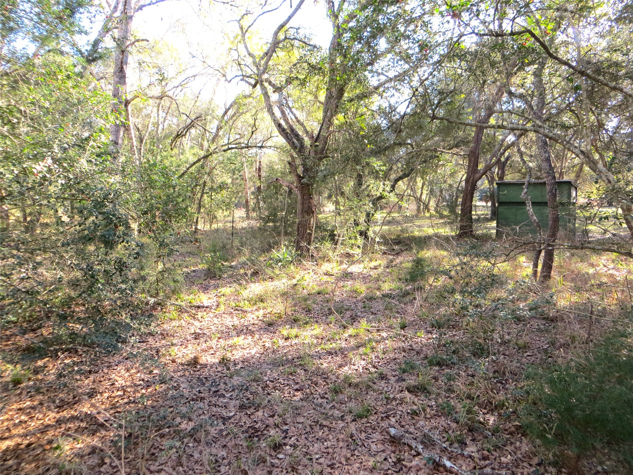 8003 County Road 122 Property Photo 5