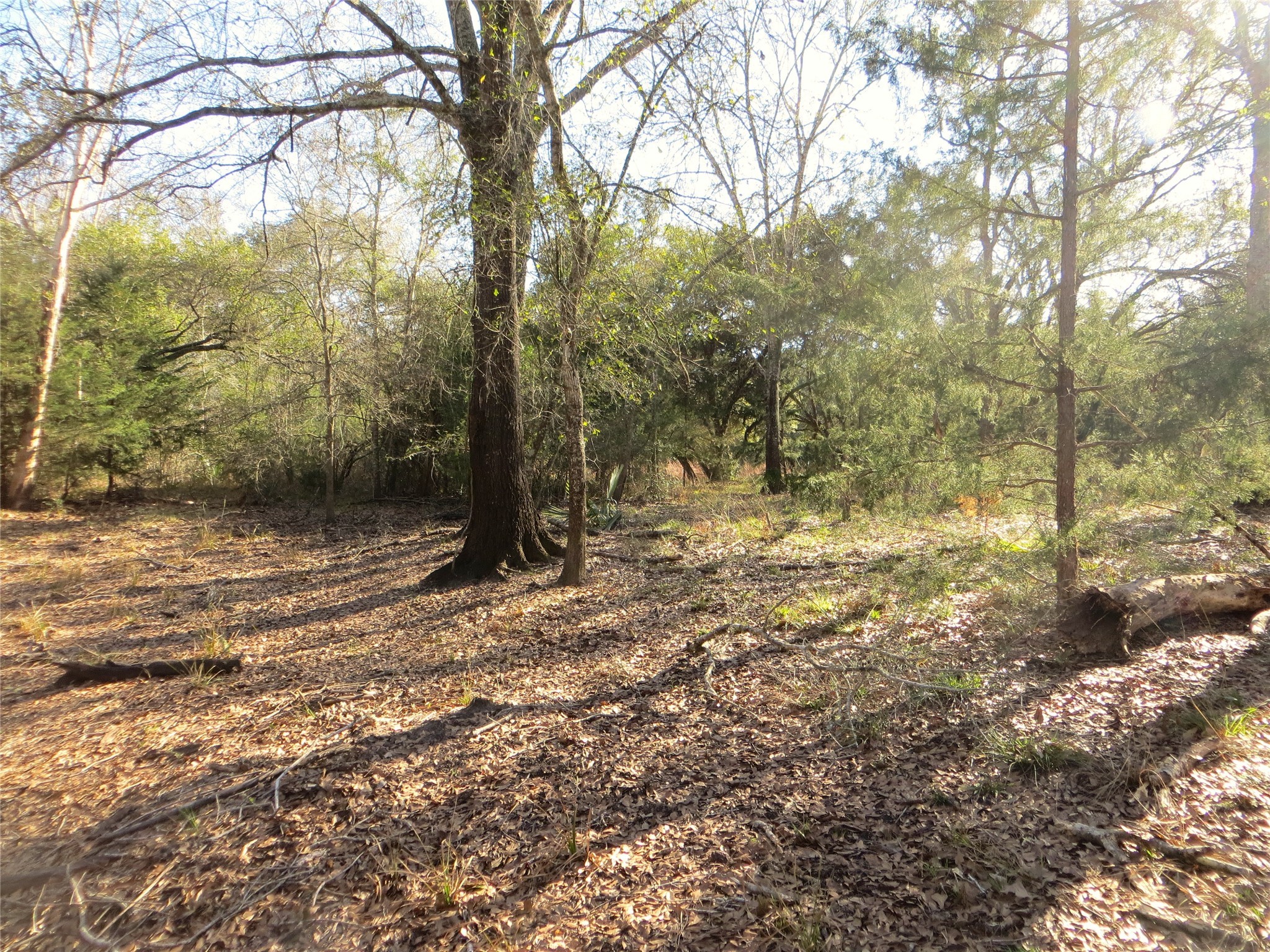 8003 County Road 122 Property Photo 6