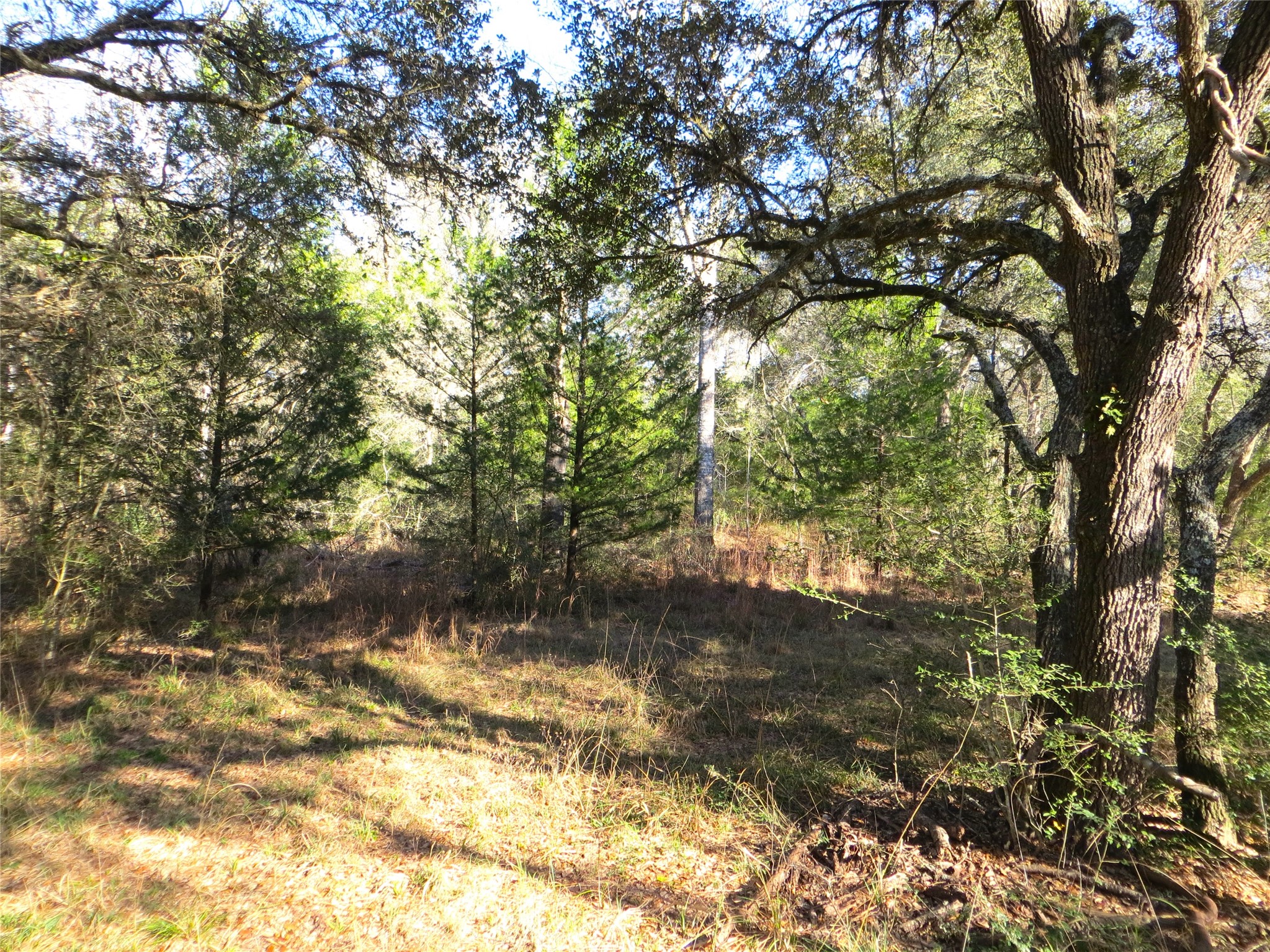 8003 County Road 122 Property Photo 7