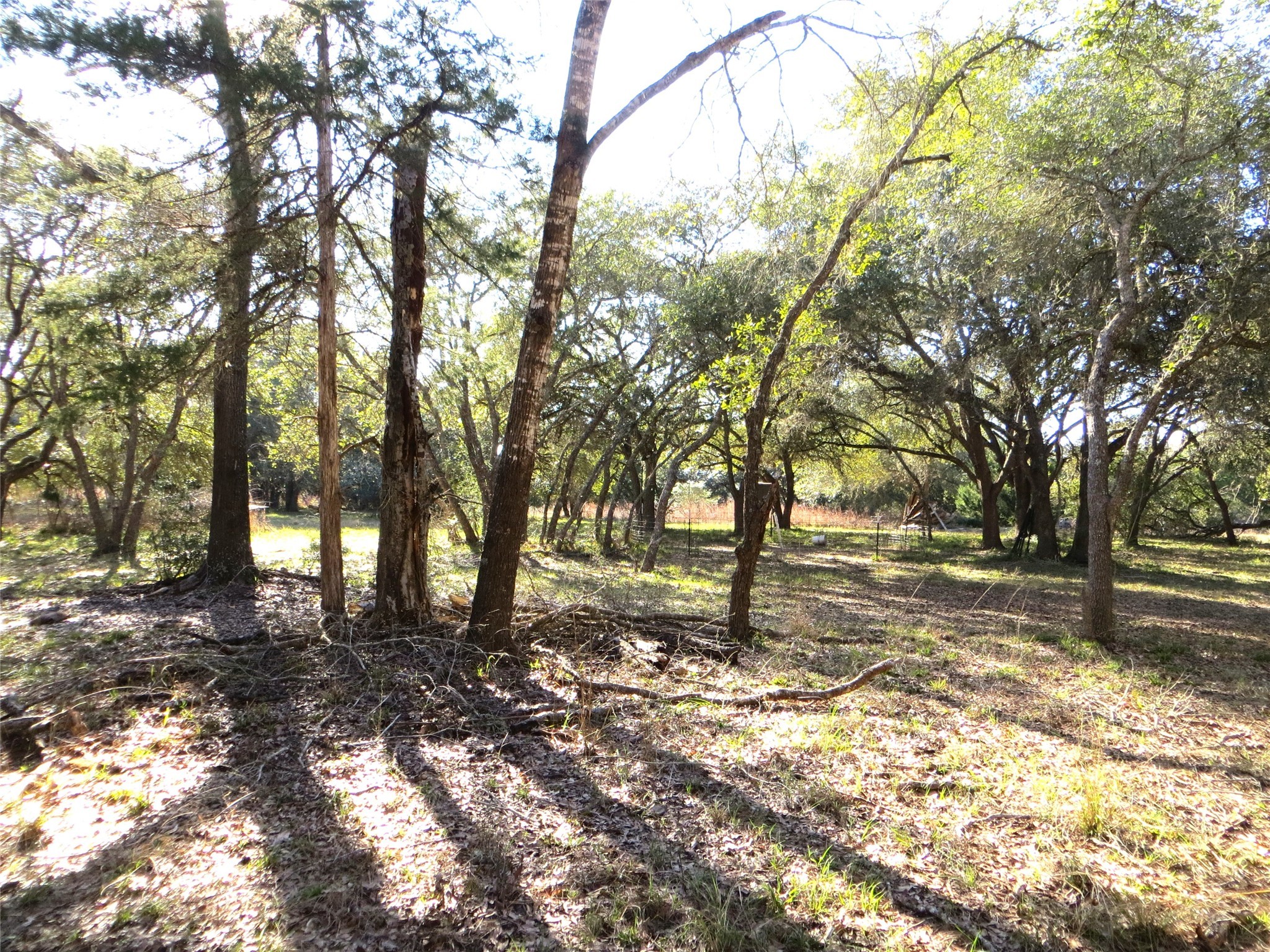 8003 County Road 122 Property Photo 8
