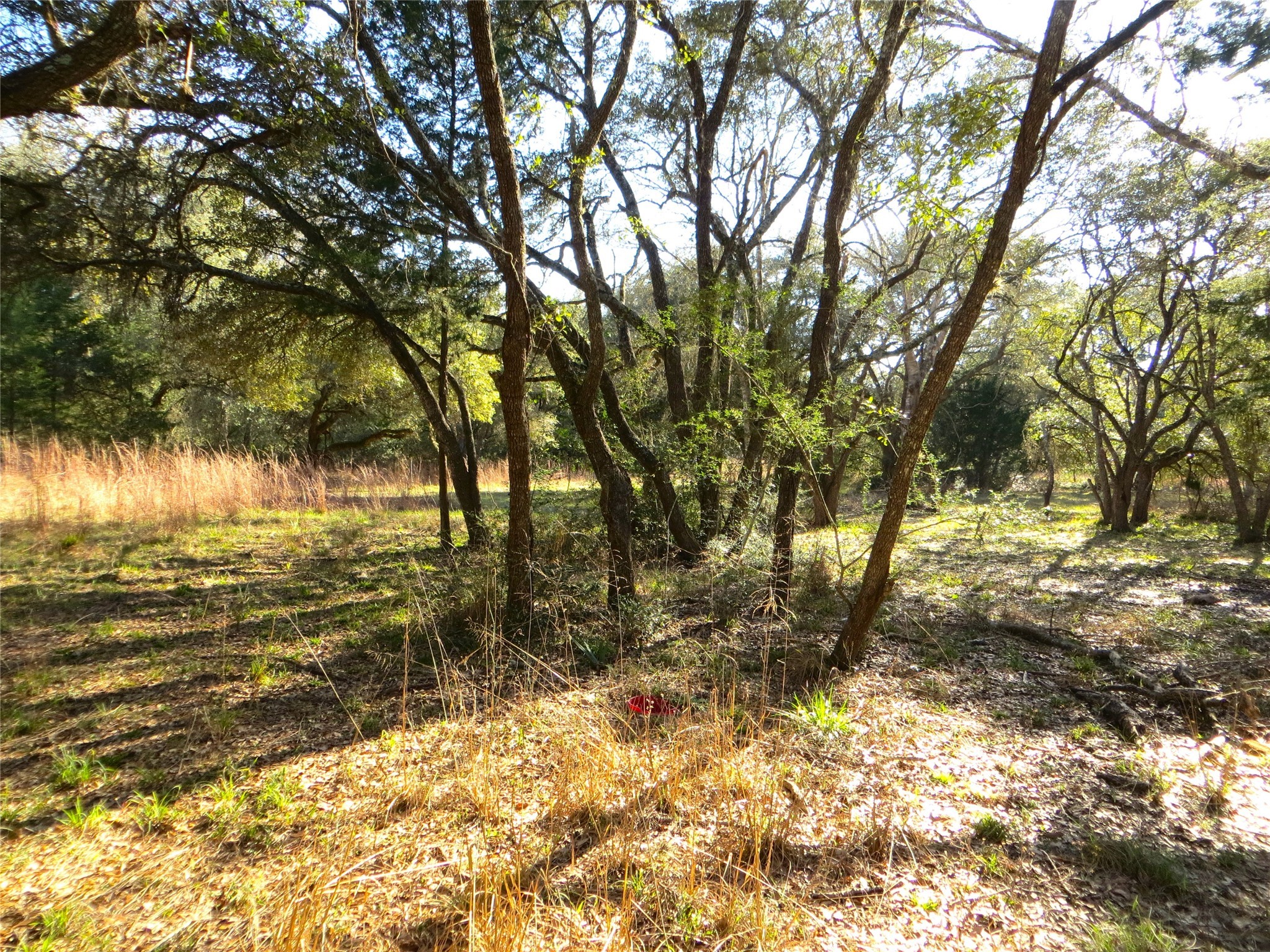 8003 County Road 122 Property Photo 9