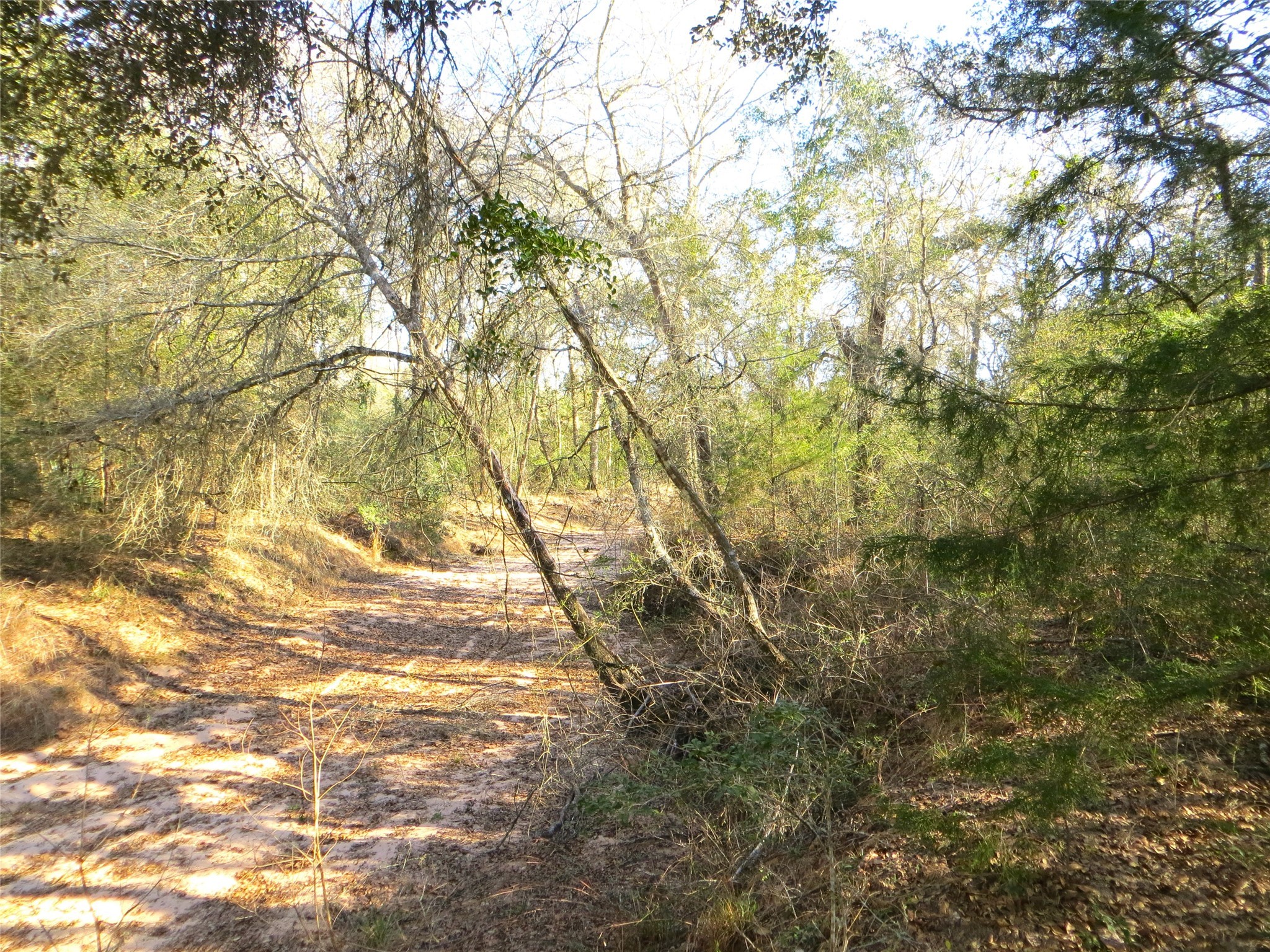 8003 County Road 122 Property Photo 10