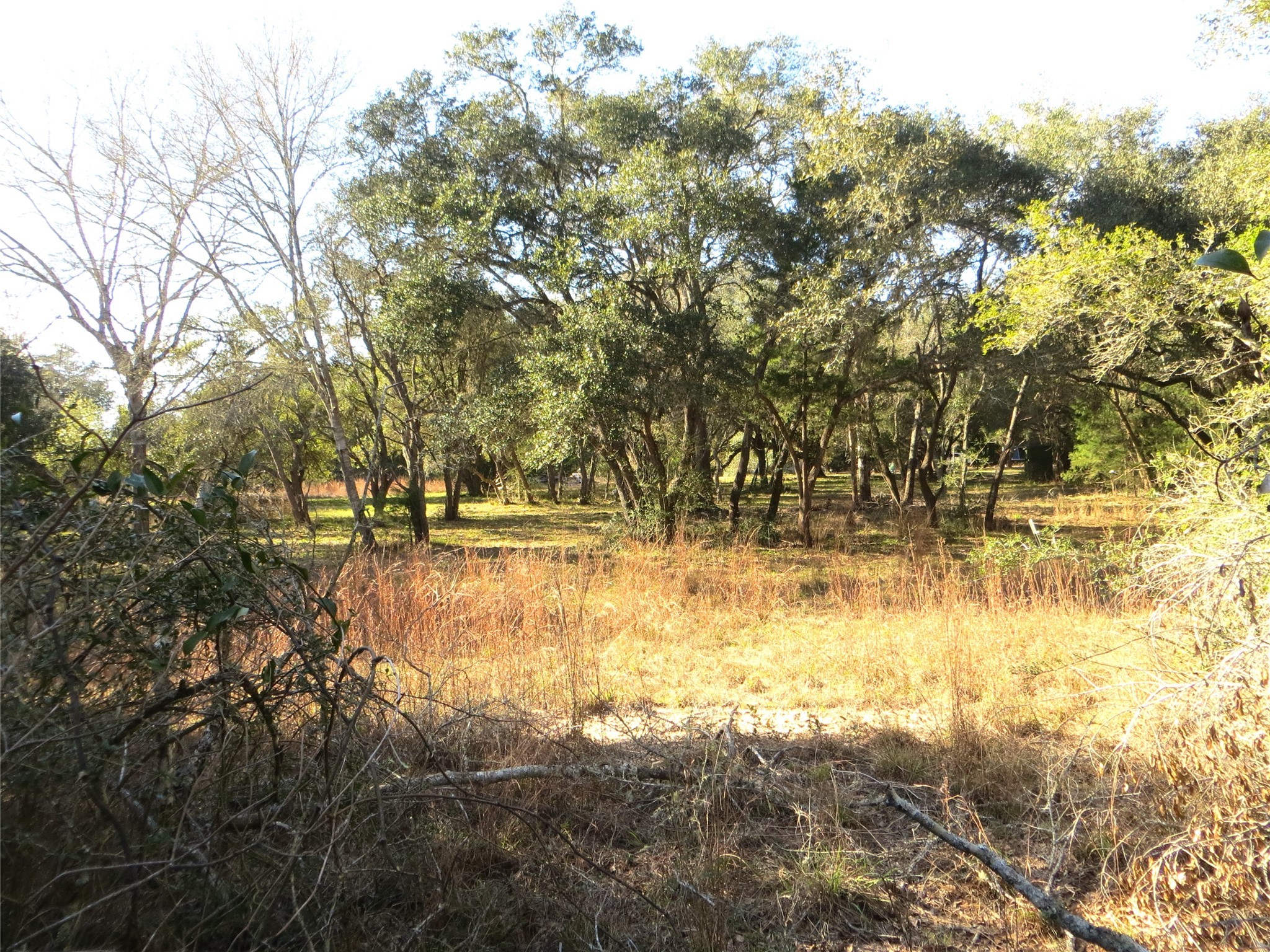 8003 County Road 122 Property Photo 12