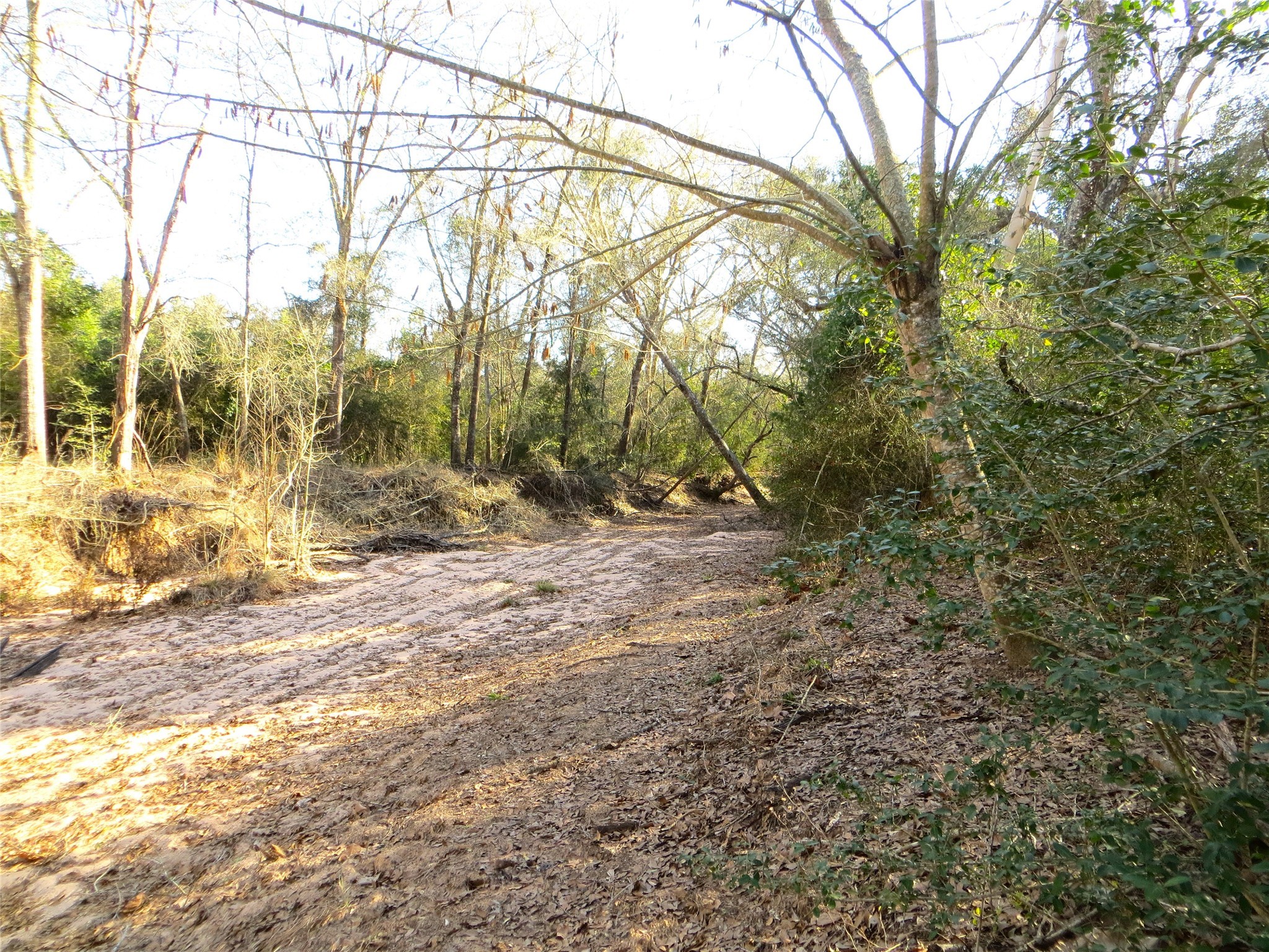 8003 County Road 122 Property Photo 15