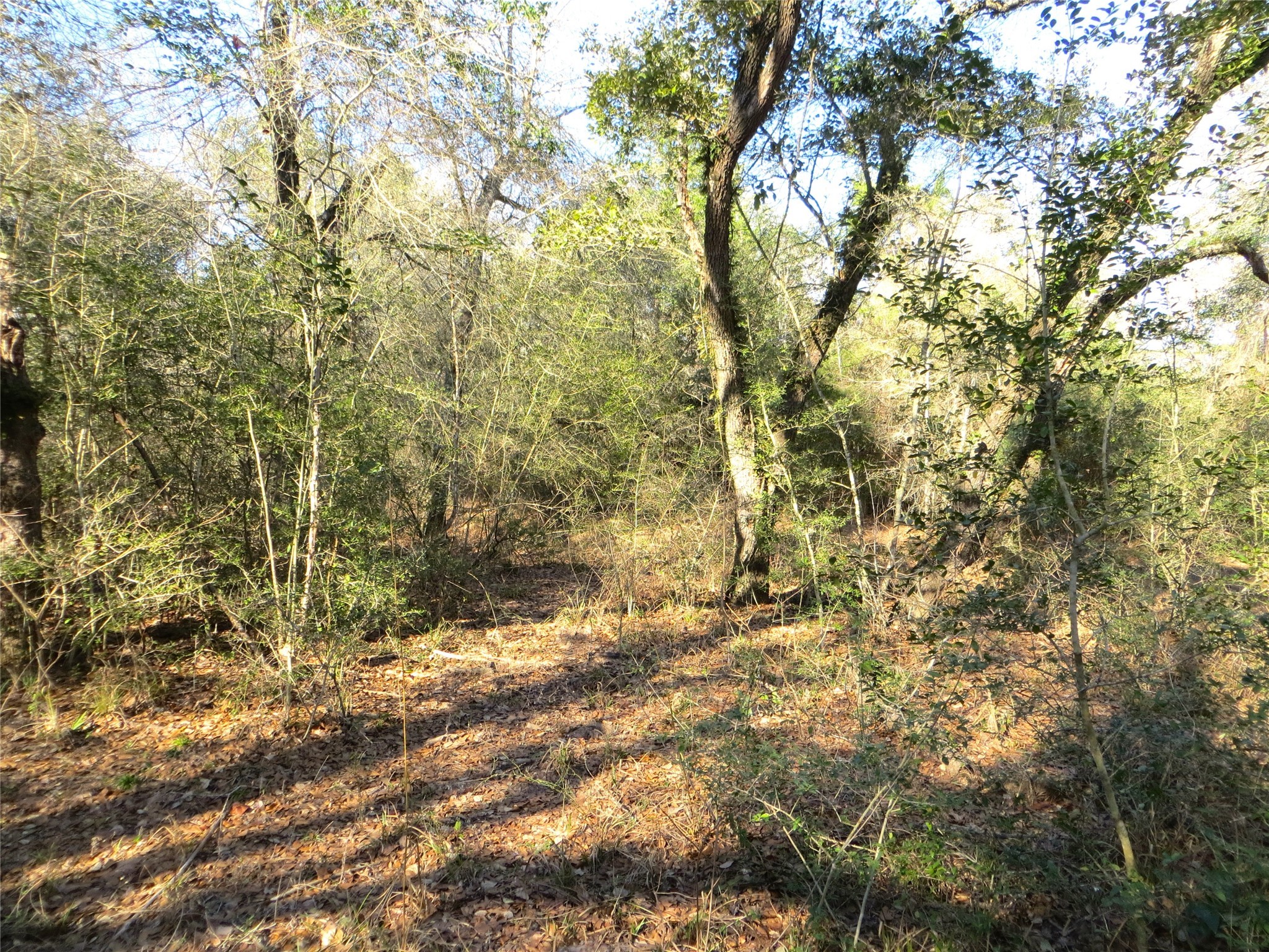 8003 County Road 122 Property Photo 16