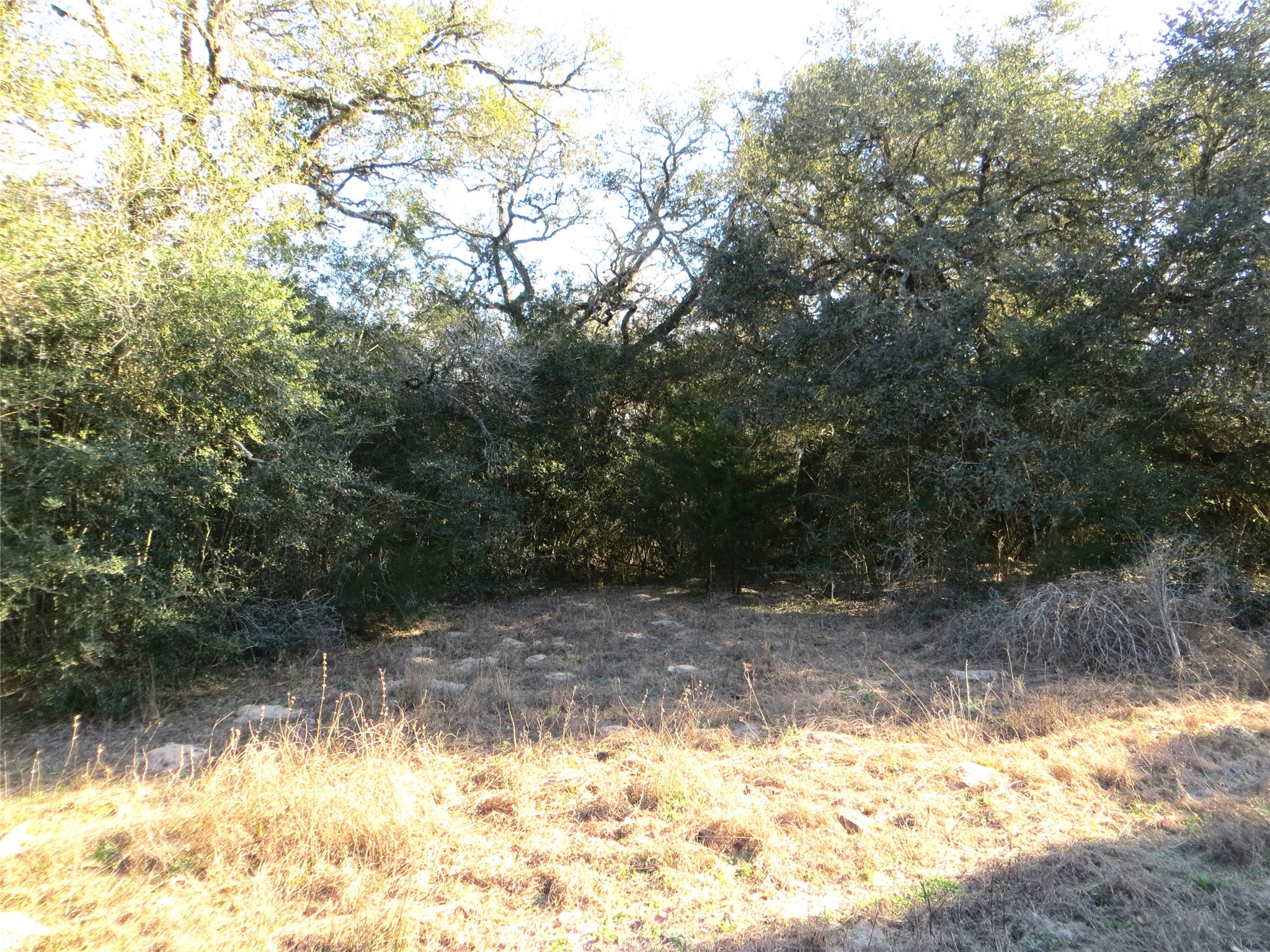 8003 County Road 122 Property Photo 21
