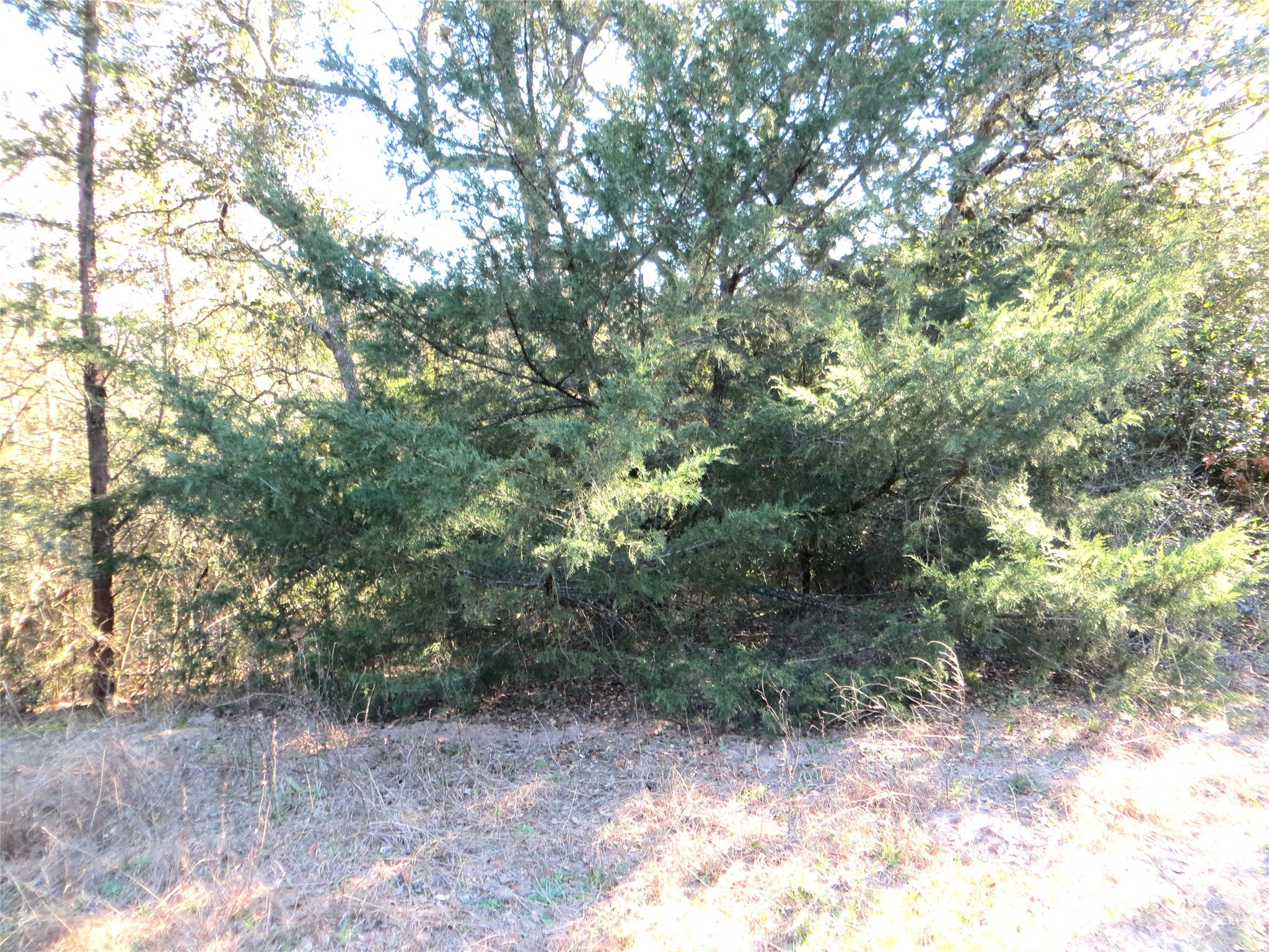 8003 County Road 122 Property Photo 24