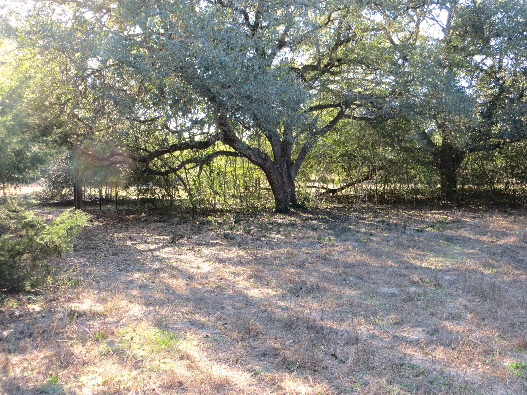 8003 County Road 122 Property Photo 27