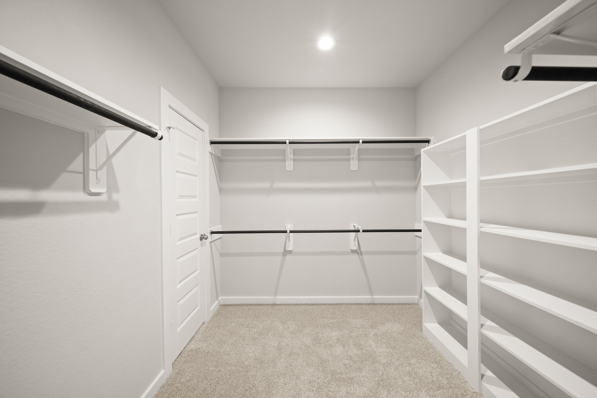 3810 Rosita Mint Court Property Photo 12
