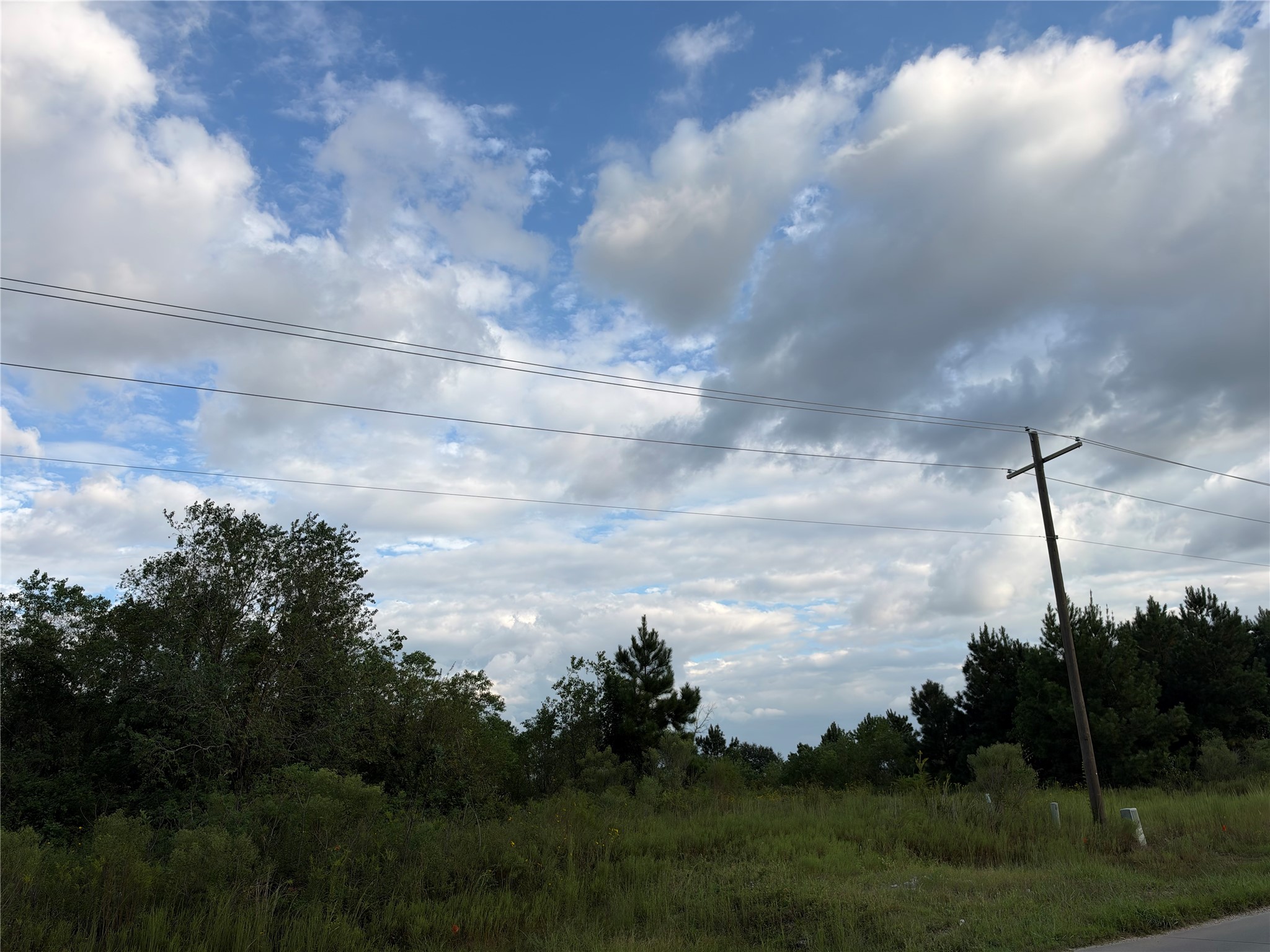 1248 County Road 3570 Property Photo 3