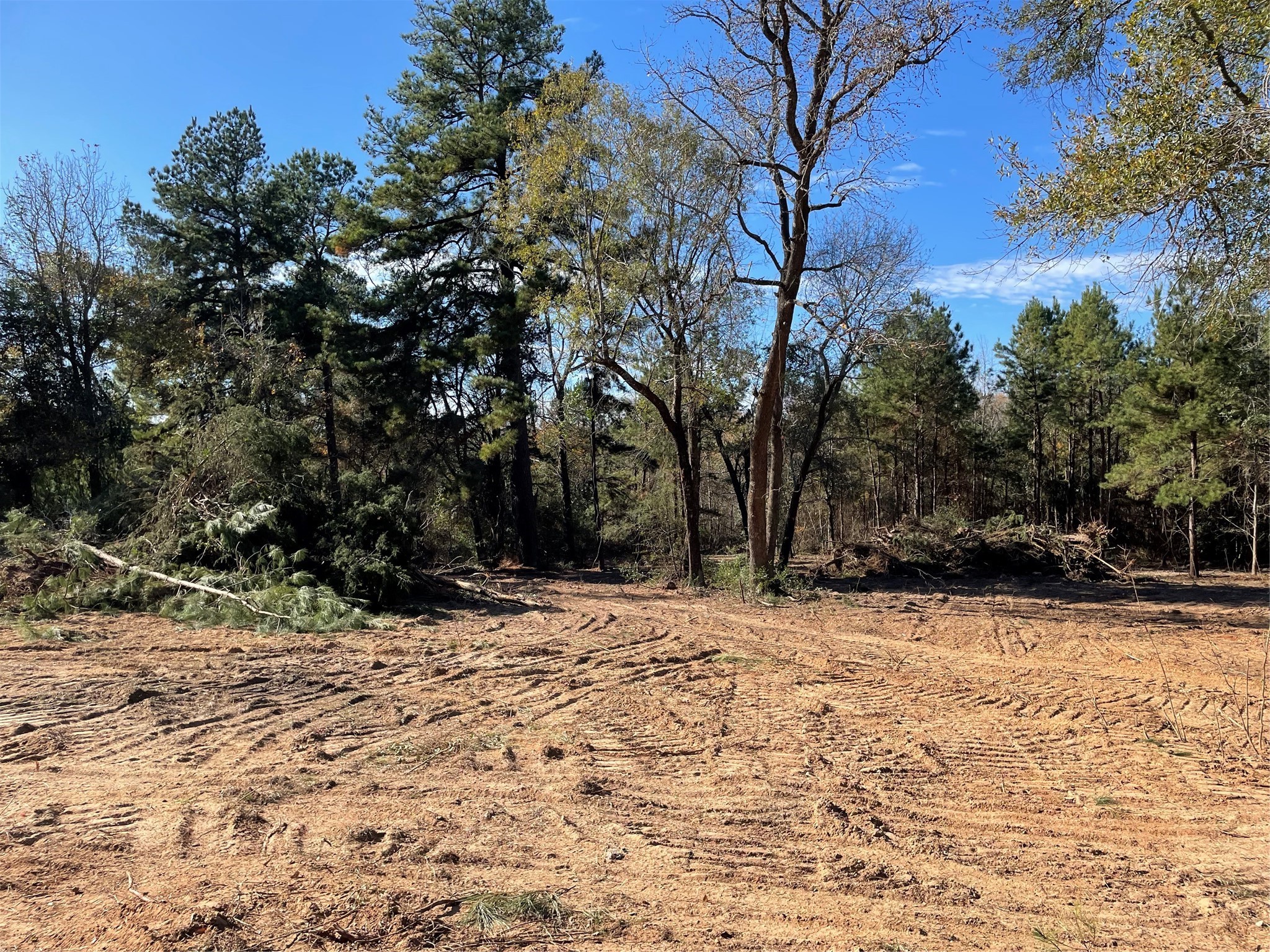 000 County Rd 1620 Property Photo 1