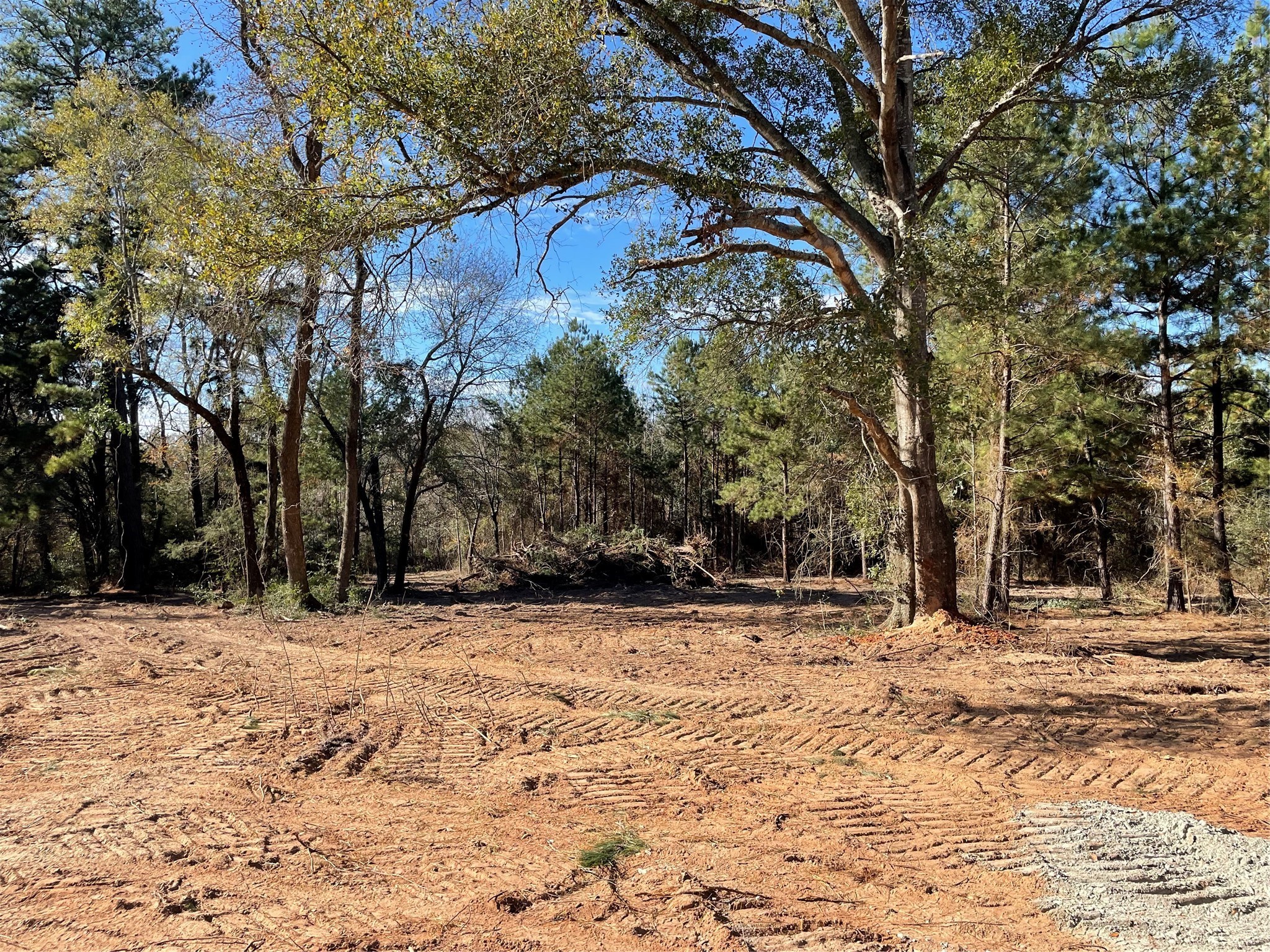 000 County Rd 1620 Property Photo 3