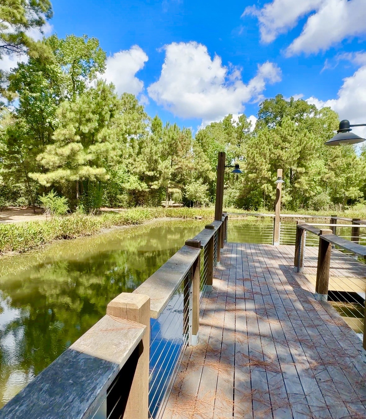 11231 Burgus Farm Road Property Photo 30