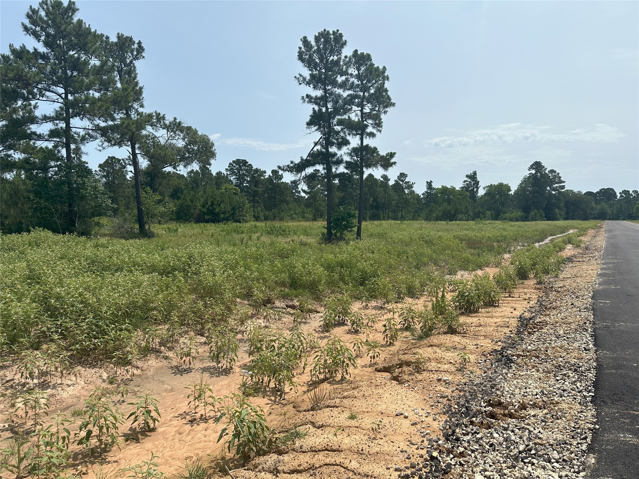 31824 Boone Road Property Photo 8