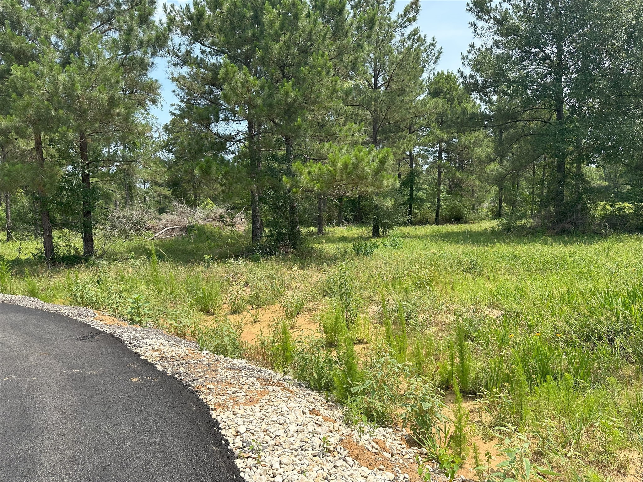 31824 Boone Road Property Photo 18