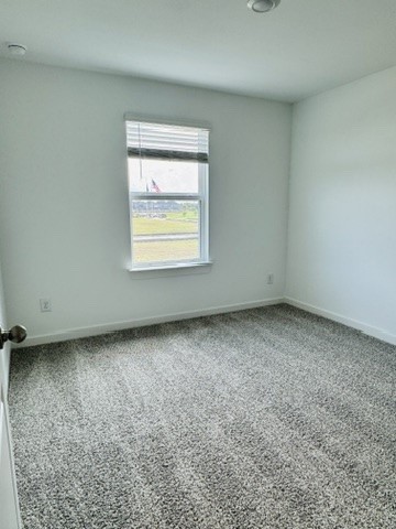 3511 Blackbird Ln Property Photo 6