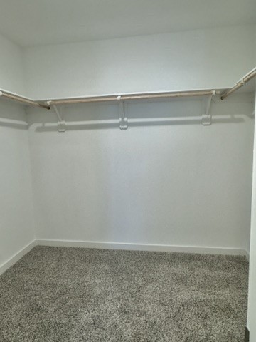 3511 Blackbird Ln Property Photo 7