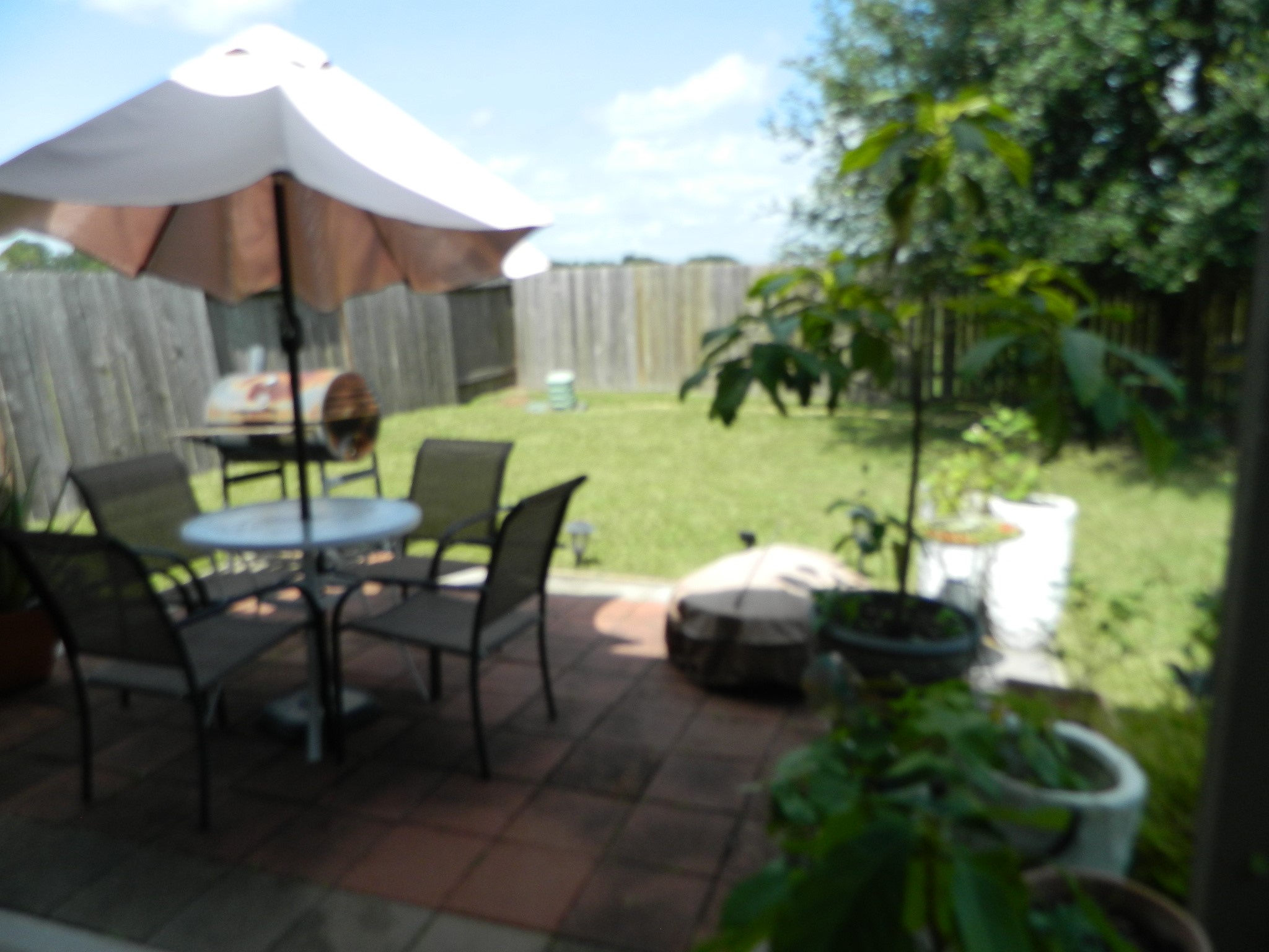 2623 Bedrock Lane Property Photo 43