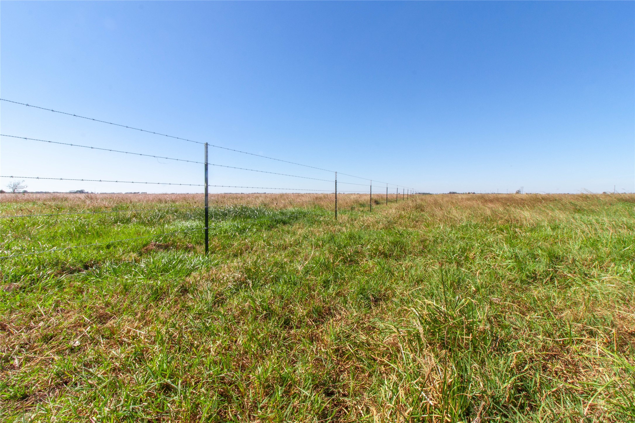1077 County Road 227 Property Photo