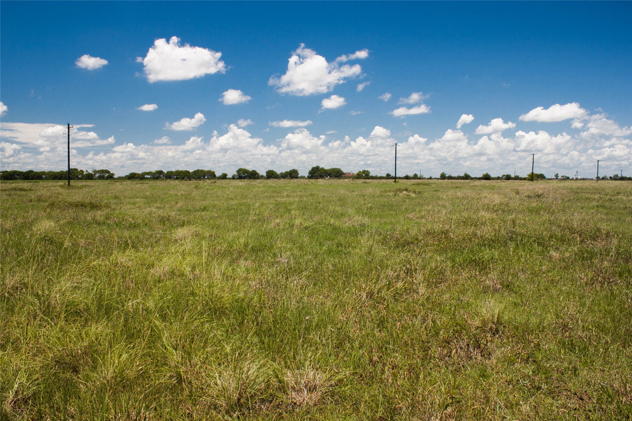 1077 County Road 227 Property Photo 4
