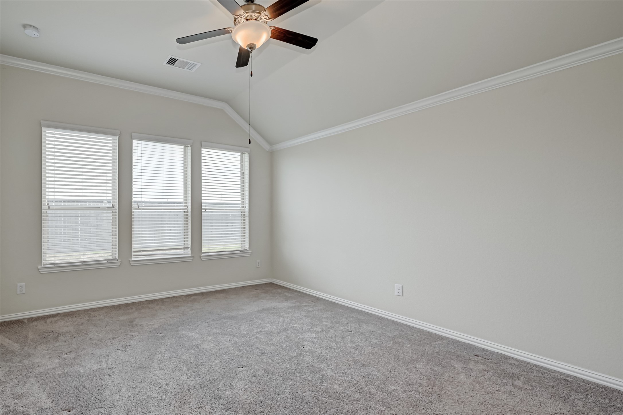1003 Grey Dusk Court Property Photo 17