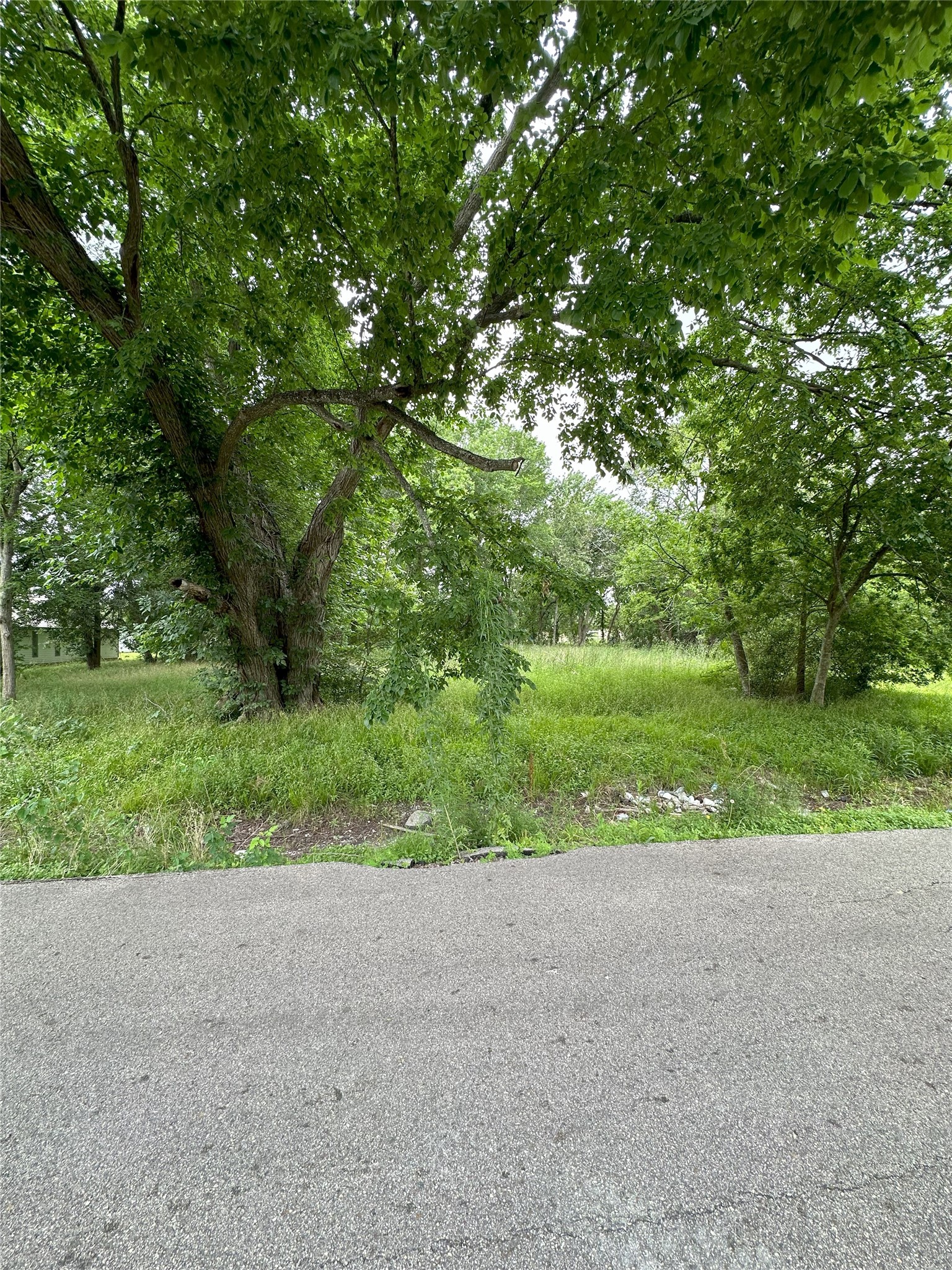 0 Larkspur Street Property Photo 3