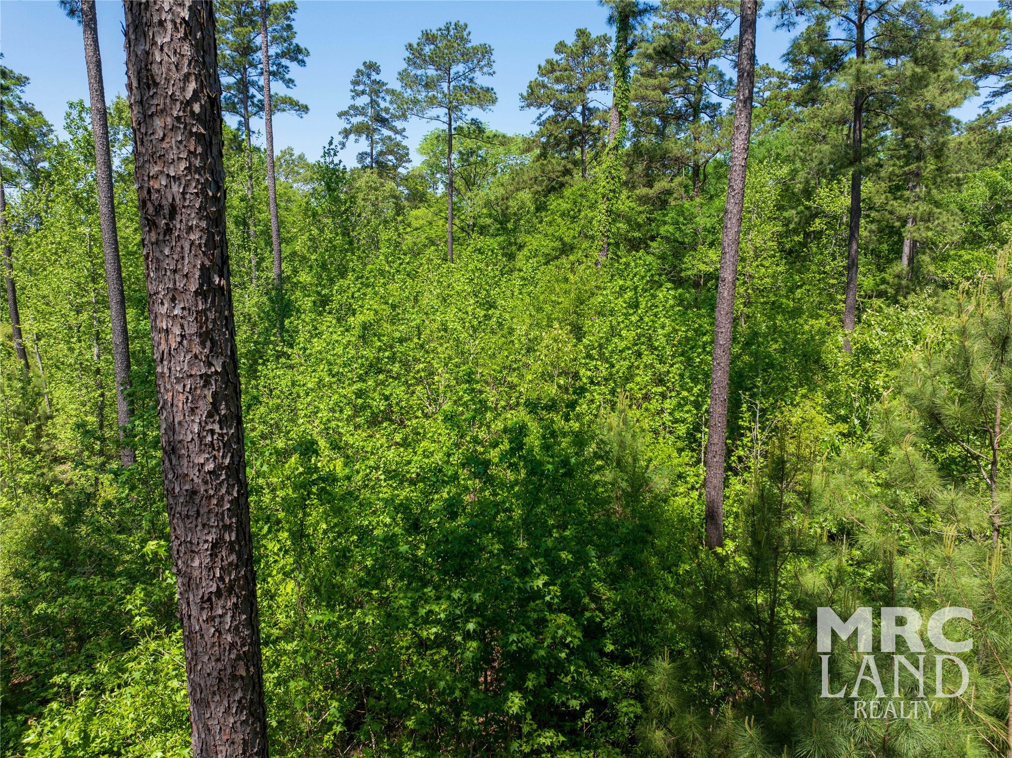00 Linn Flat Road Property Photo 4