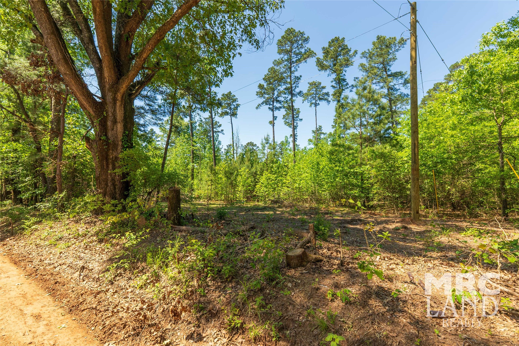 00 Linn Flat Road Property Photo 10