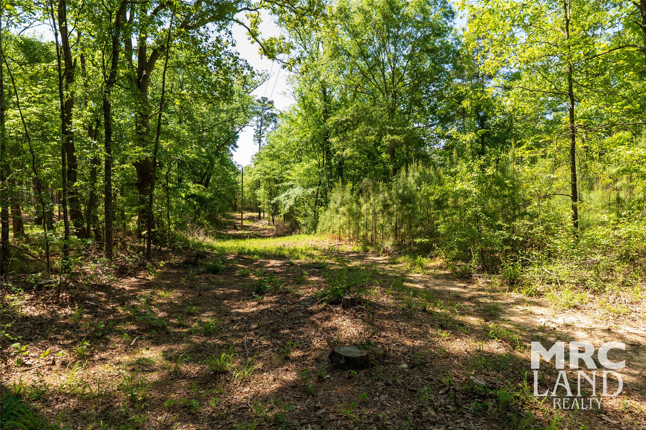 00 Linn Flat Road Property Photo 11