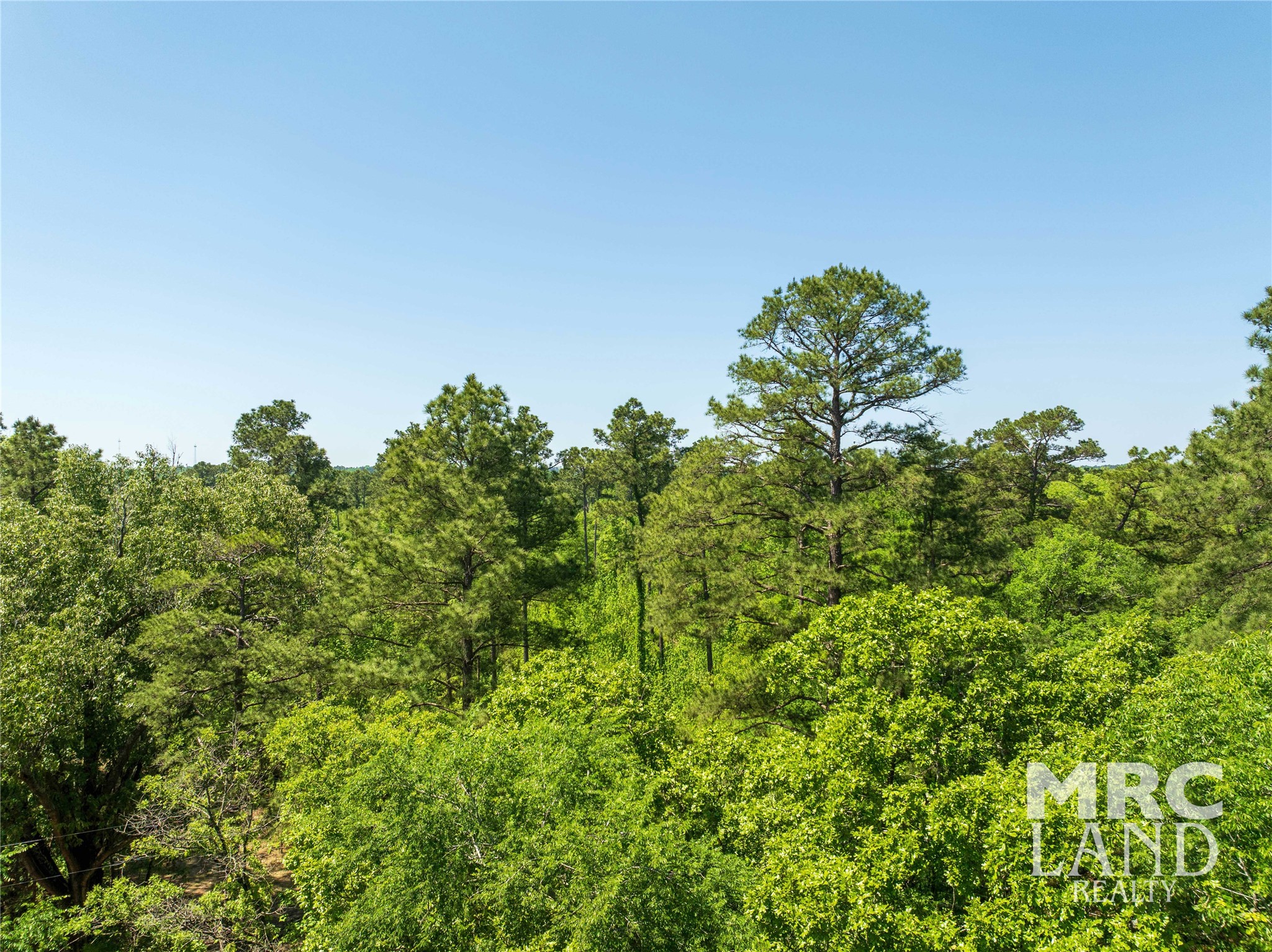 00 Linn Flat Road Property Photo 12