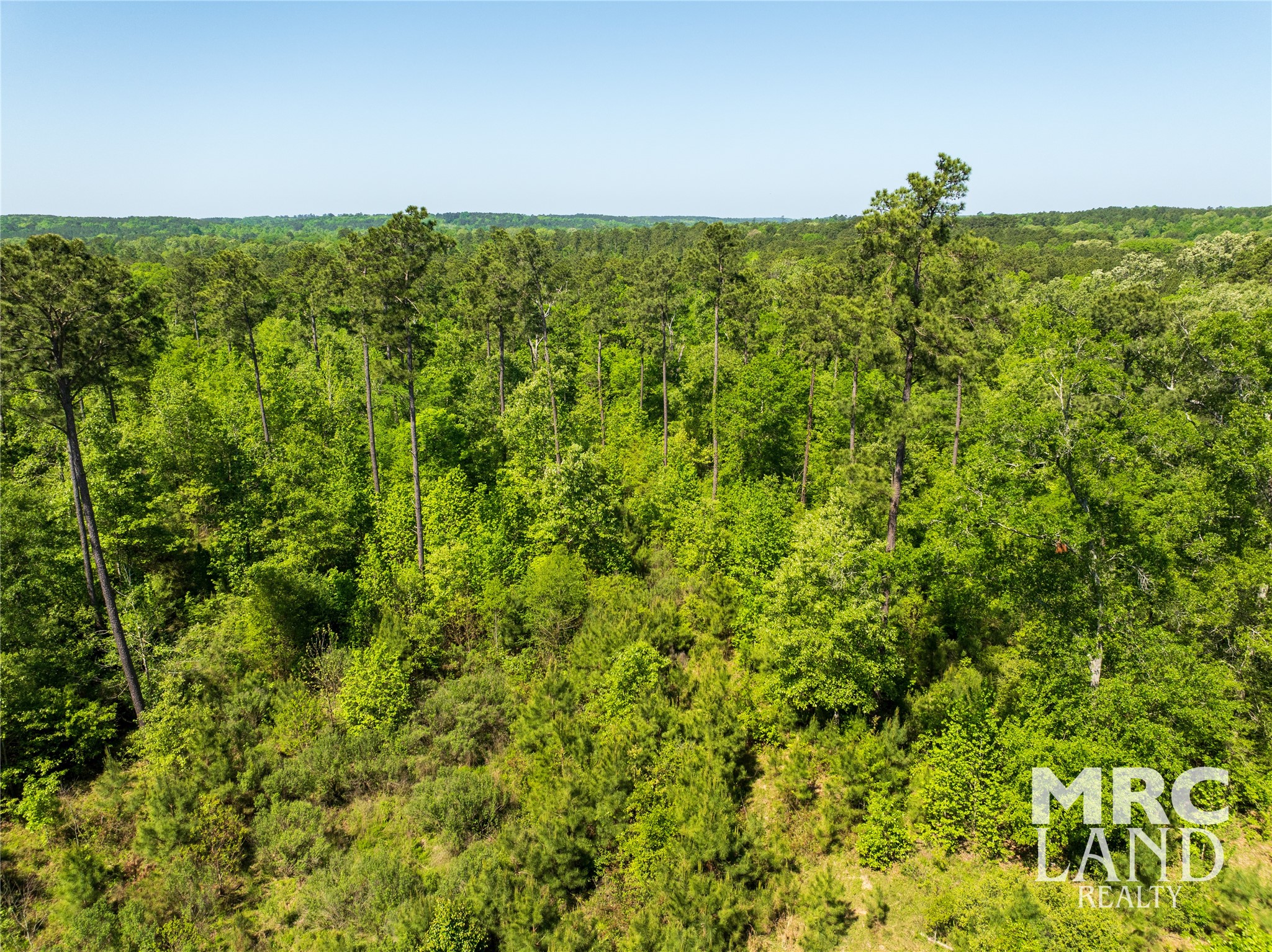 00 Linn Flat Road Property Photo 23
