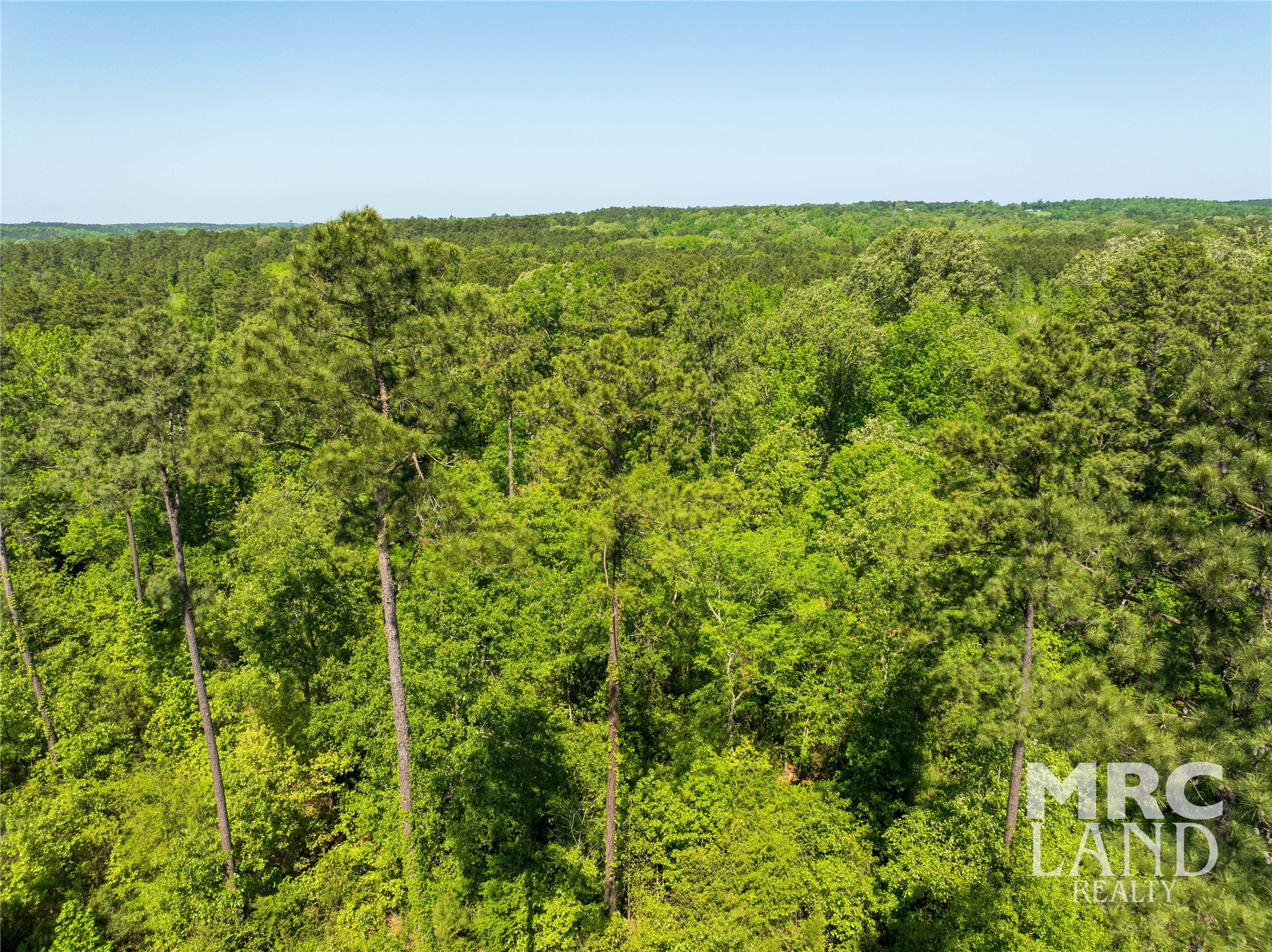 00 Linn Flat Road Property Photo 24
