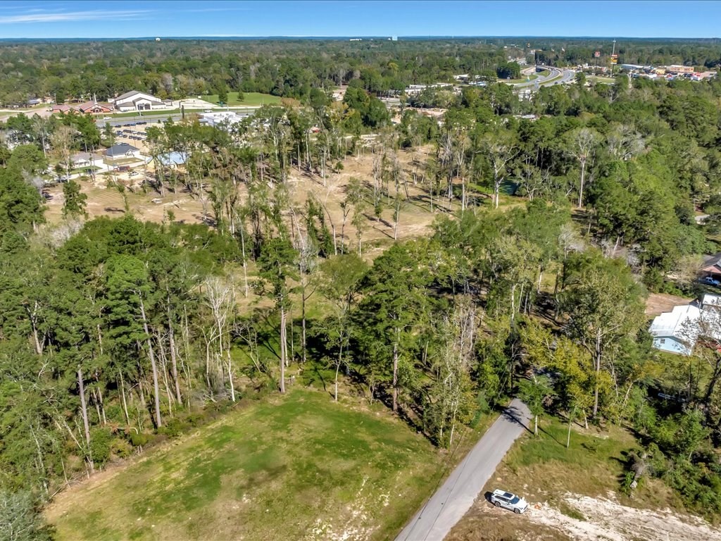 313 Sandybrook Property Photo 4