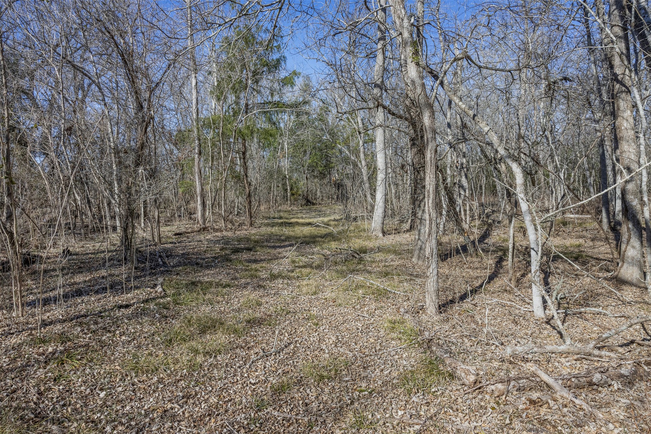 2998 E State Highway 237 Property Photo 32