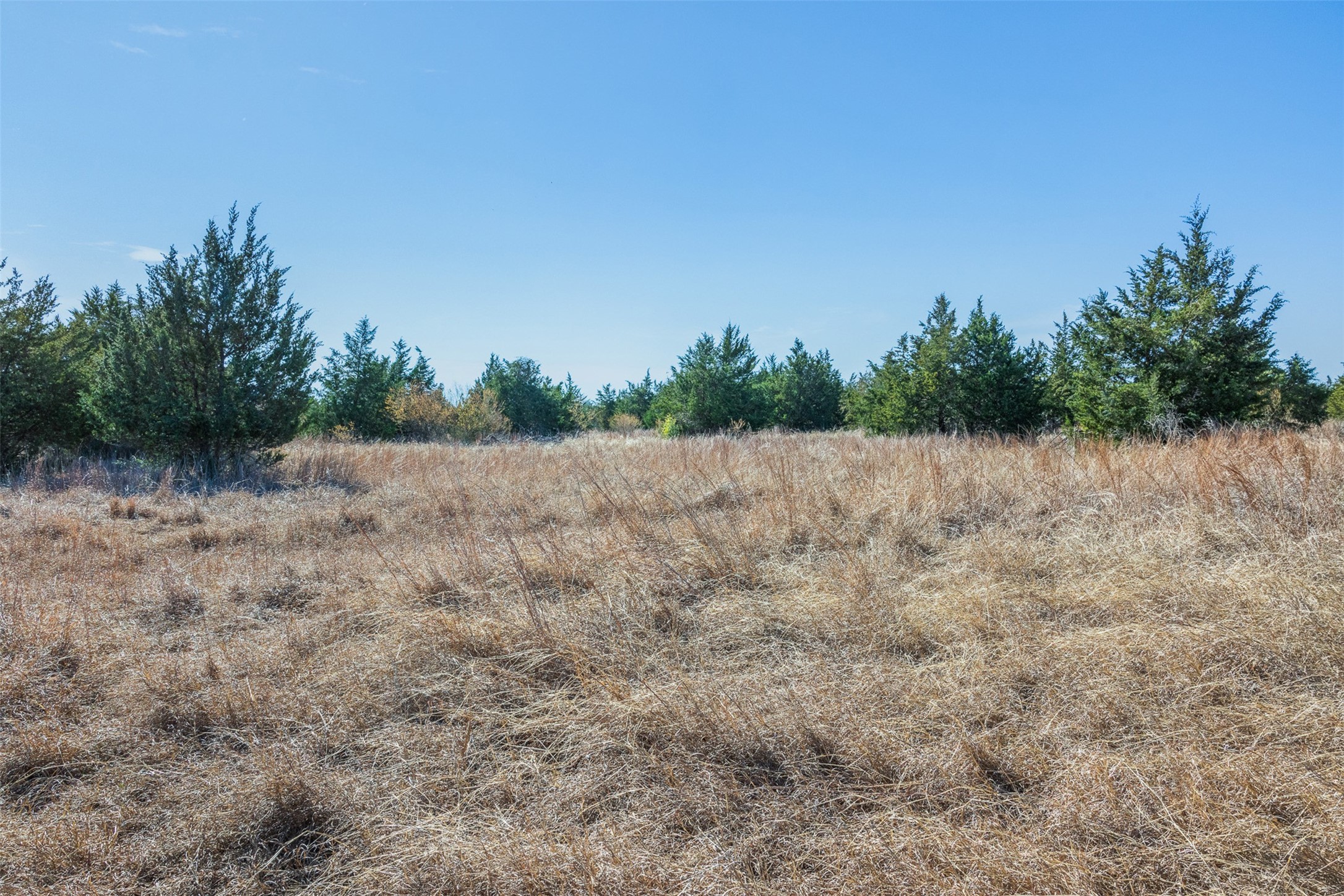 2998 E State Highway 237 Property Photo 39