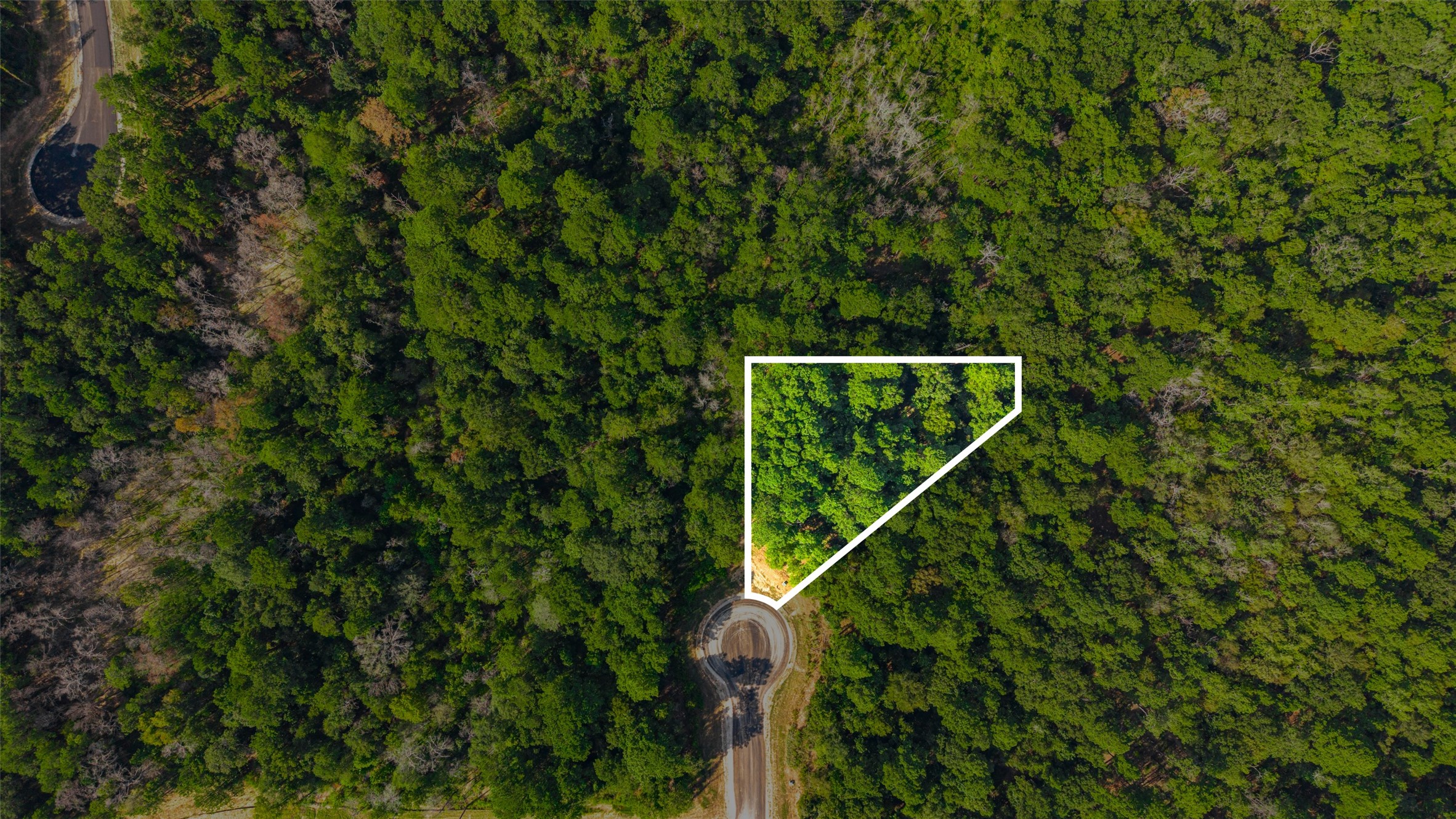 101 Longfellow Road Property Photo 3