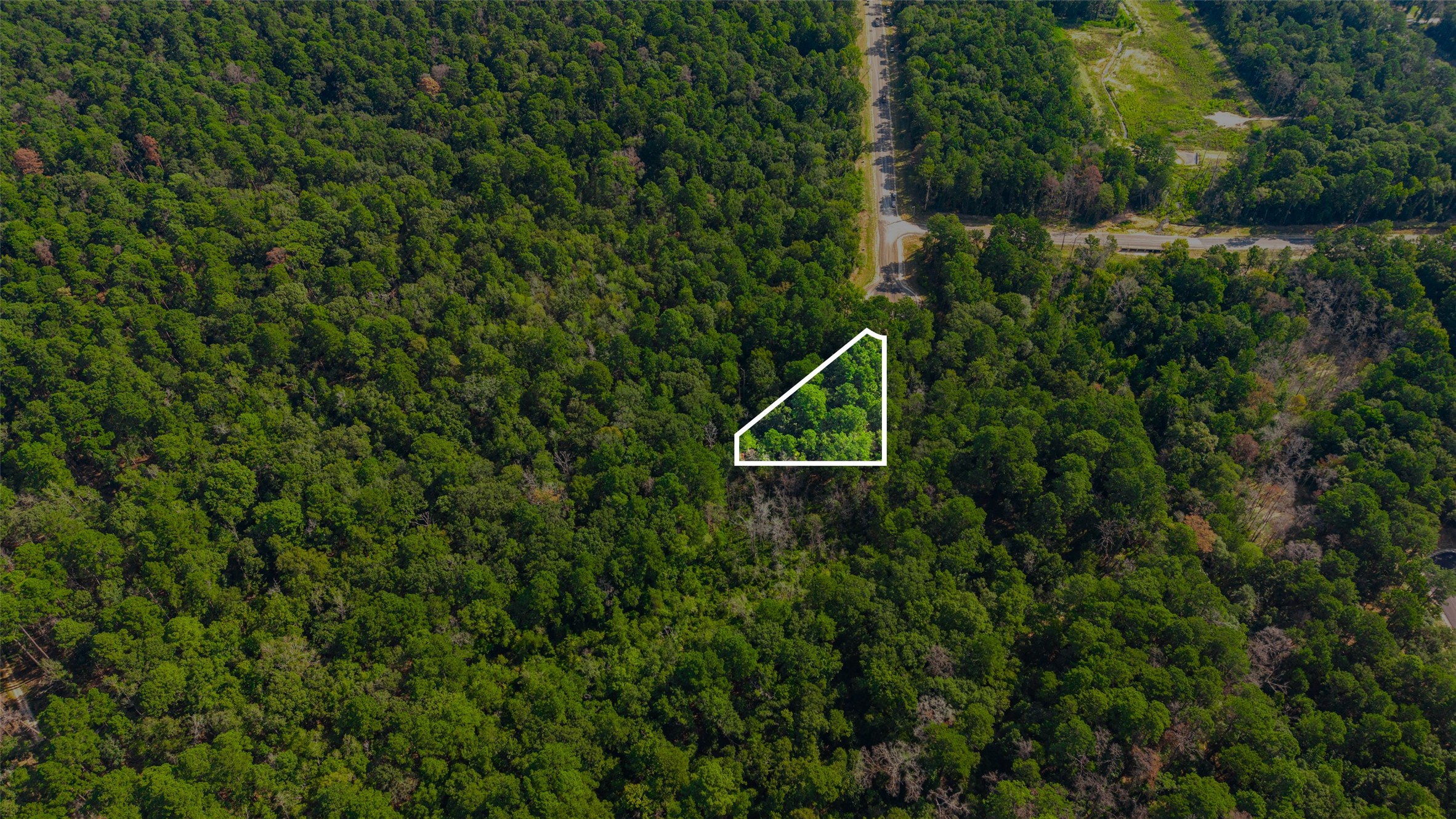 101 Longfellow Road Property Photo 5