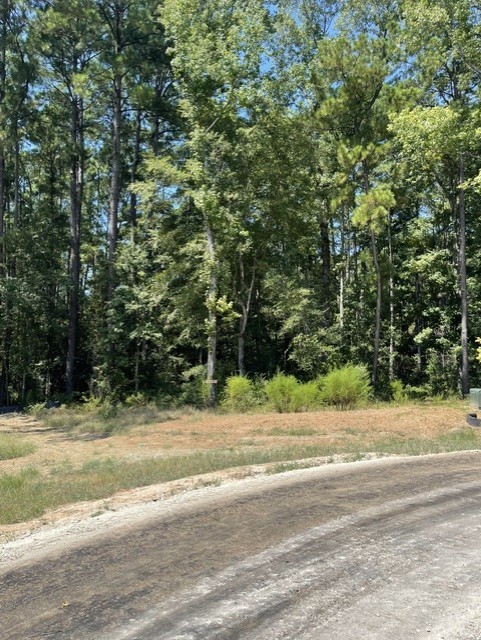 101 Longfellow Road Property Photo 10
