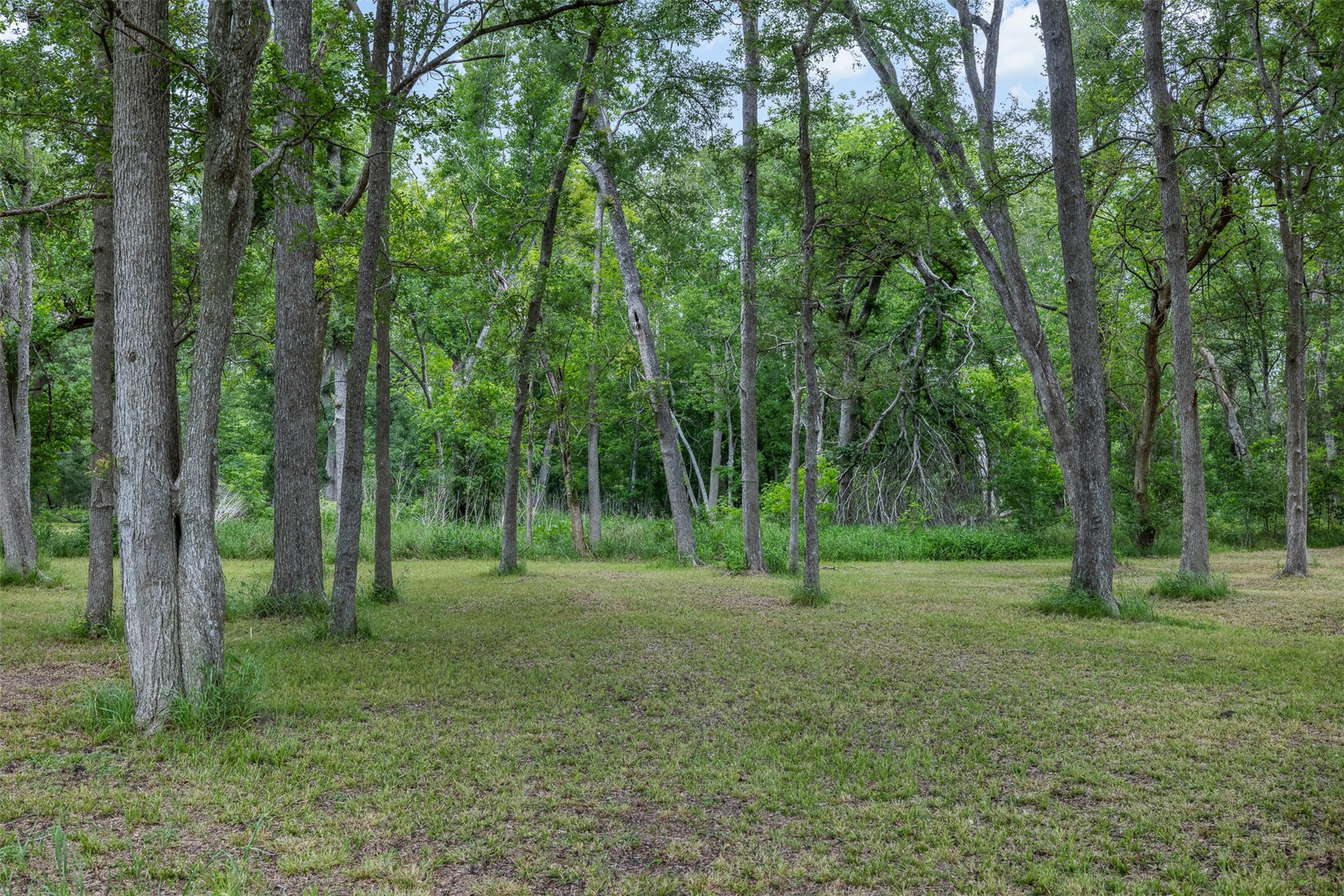 767 N Fm 2429 Road Property Photo 16