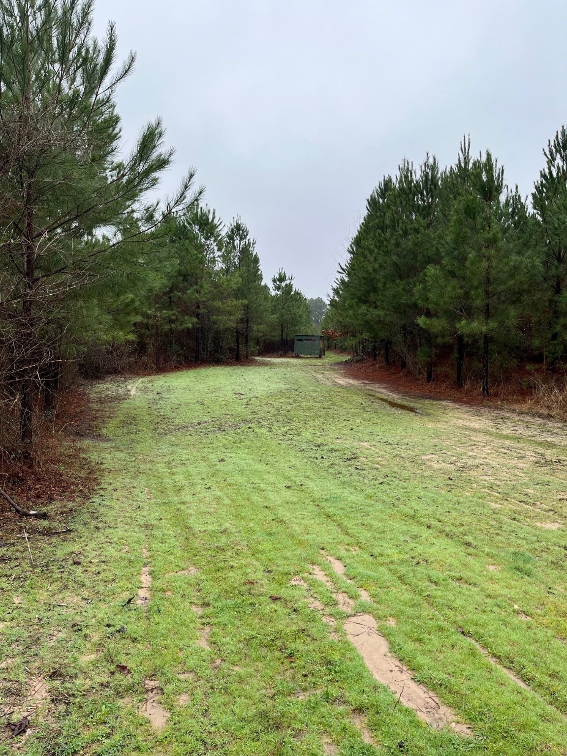 Buck Bay Private Rd Off Fm1751 Property Photo 1