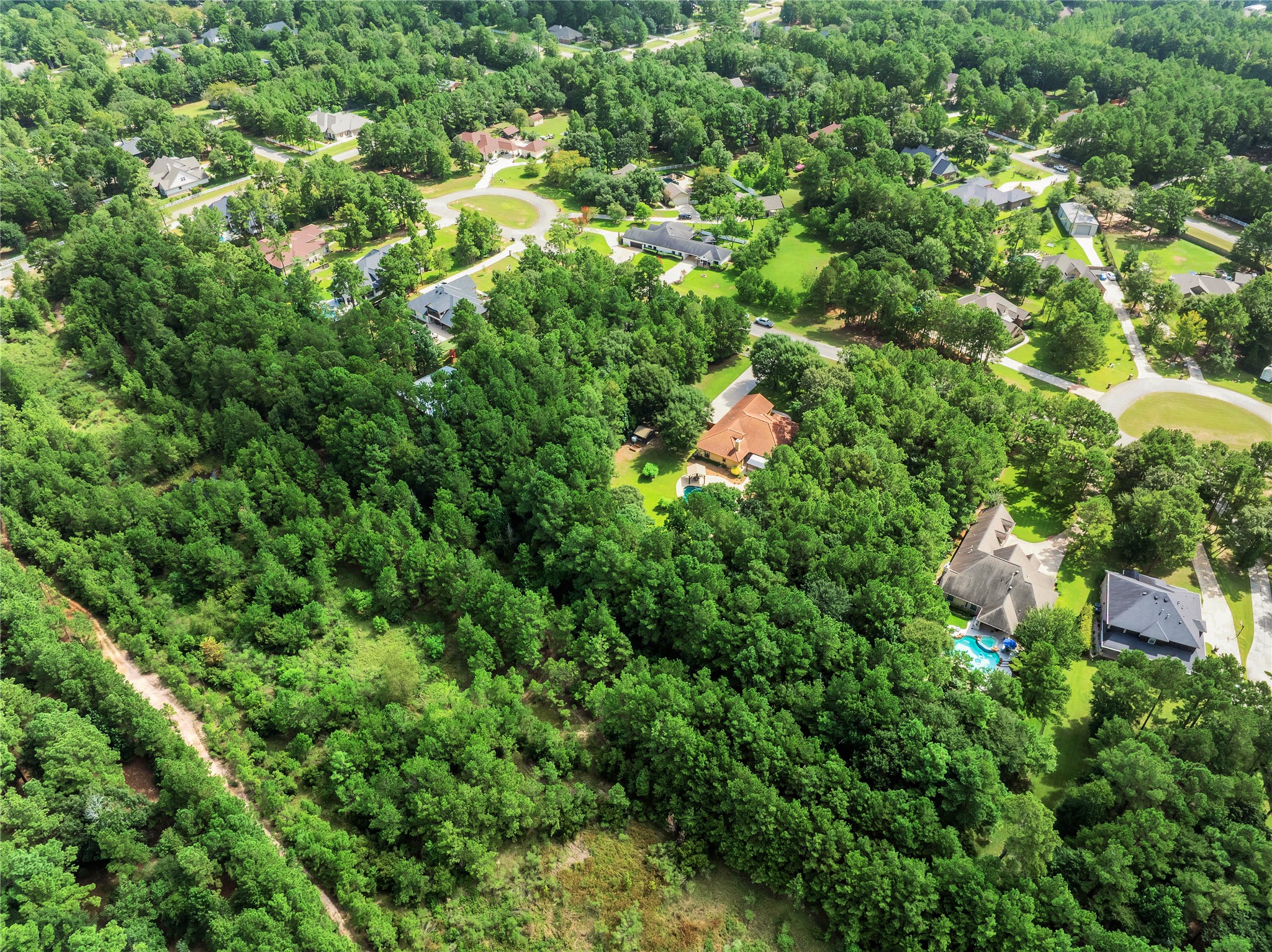 11542 Sebastians Run Property Photo 6