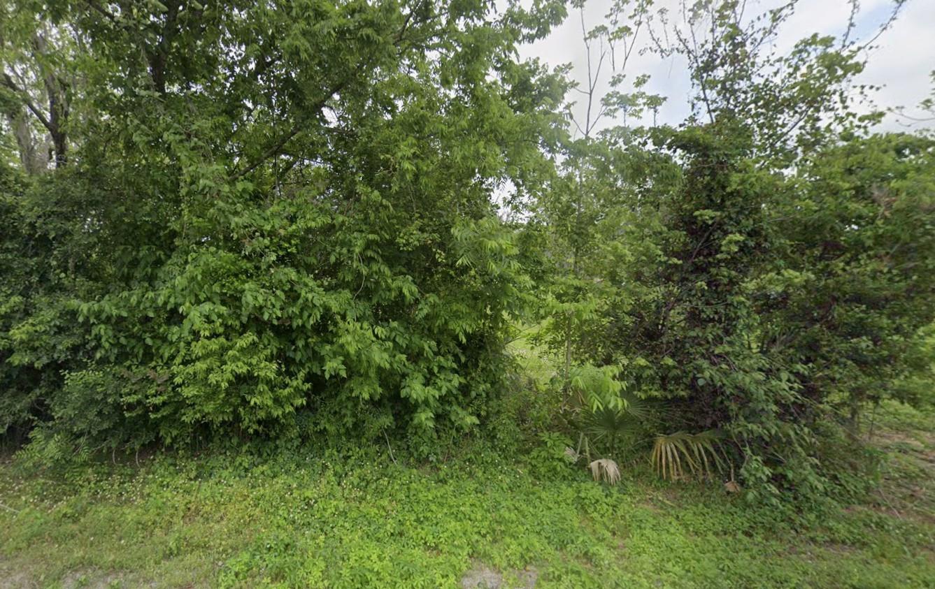 2941 - 19 County Raod 352 Road, Brazoria Tx 77422 Property Photo 4