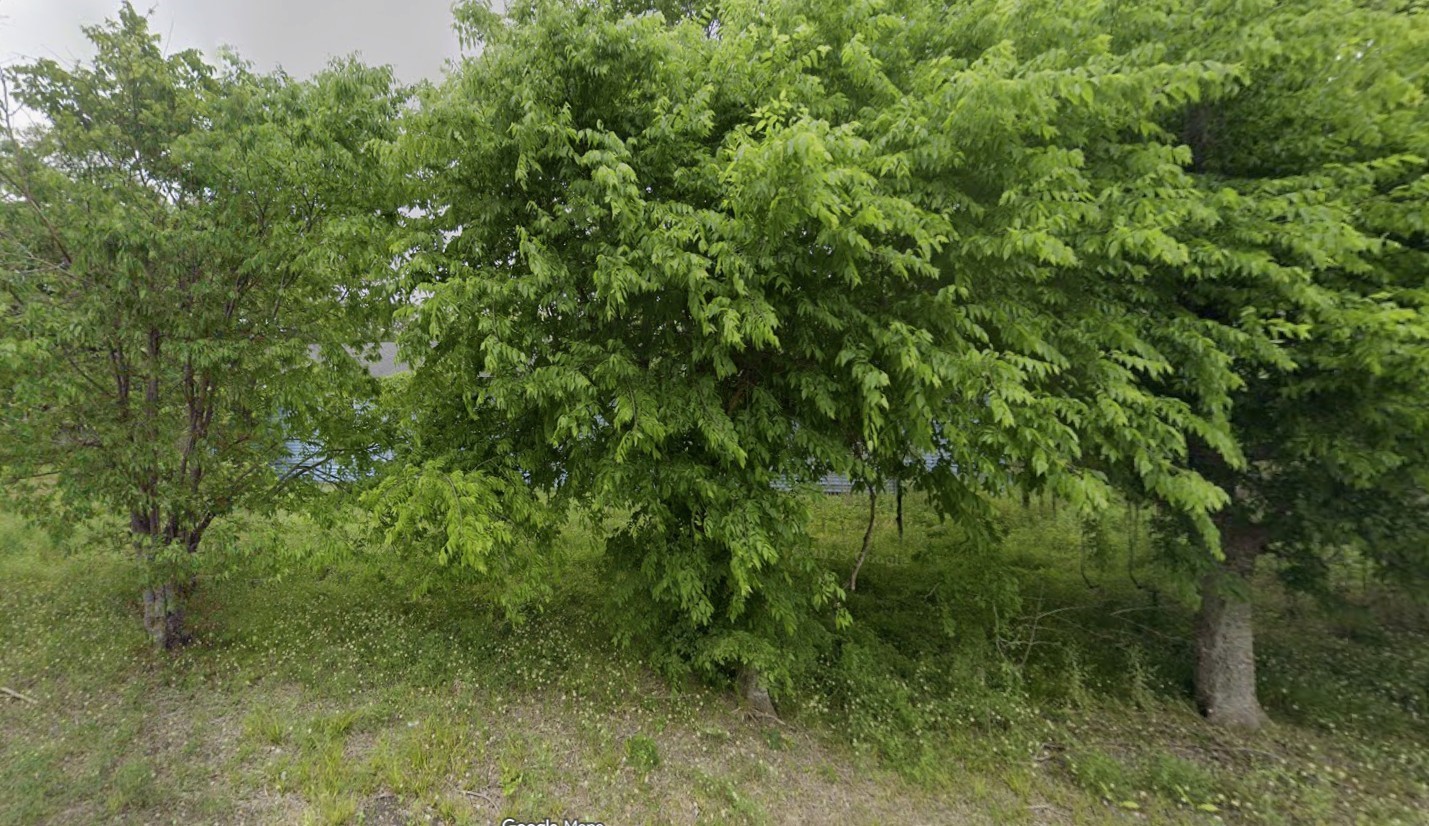 2941 - 19 County Raod 352 Road Property Photo 5